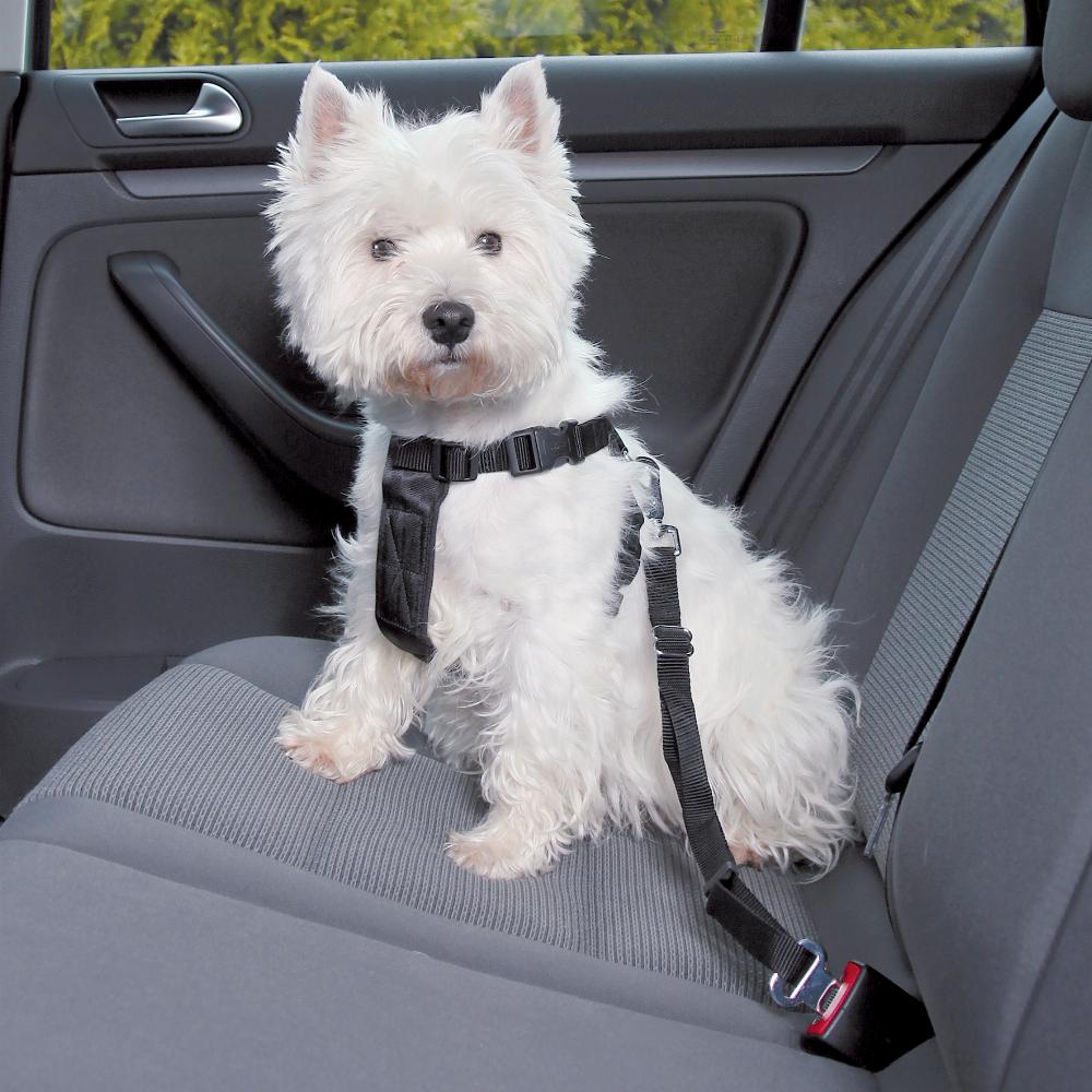 Jolly Paw Dog Car Harness
