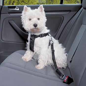 Jolly Paw Dog Car Harness
