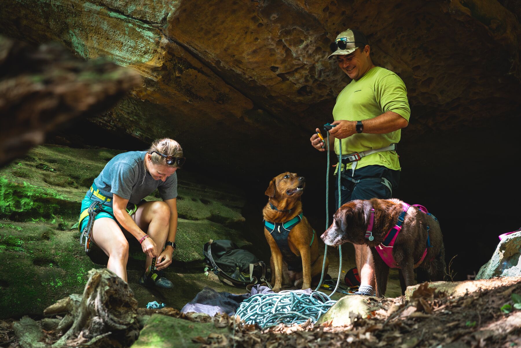 Ruffwear Flagline™ Harness– Basalt Gray 