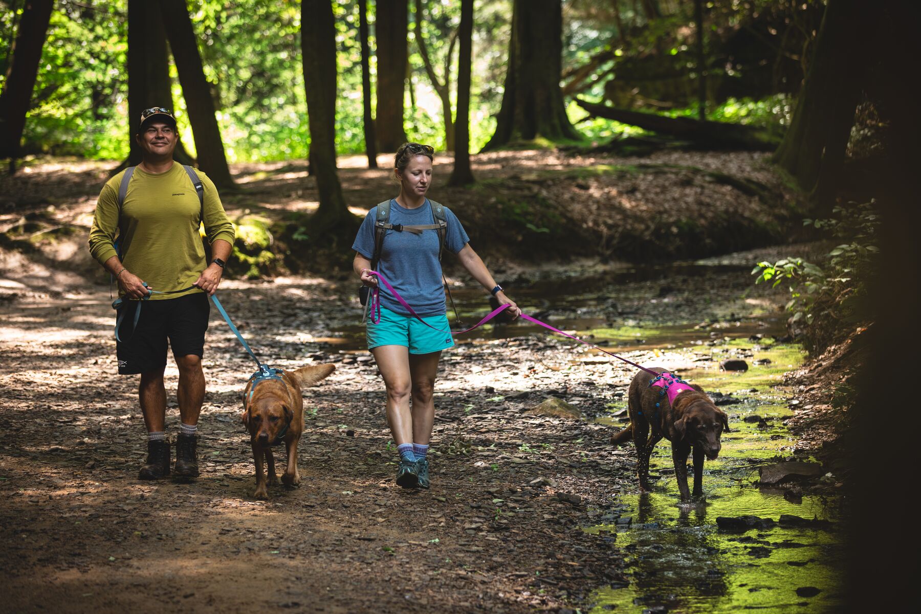Ruffwear Flagline™ Harness– Basalt Gray 