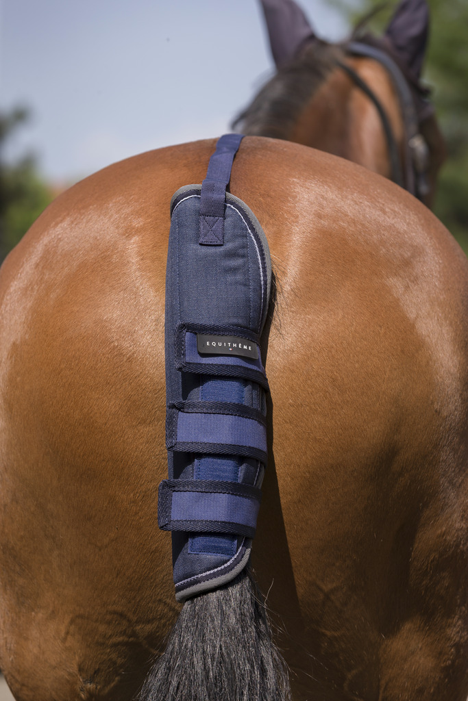 EQUITHEME TYREX 600 D Tail Guard Navy/Grey/White - Full size