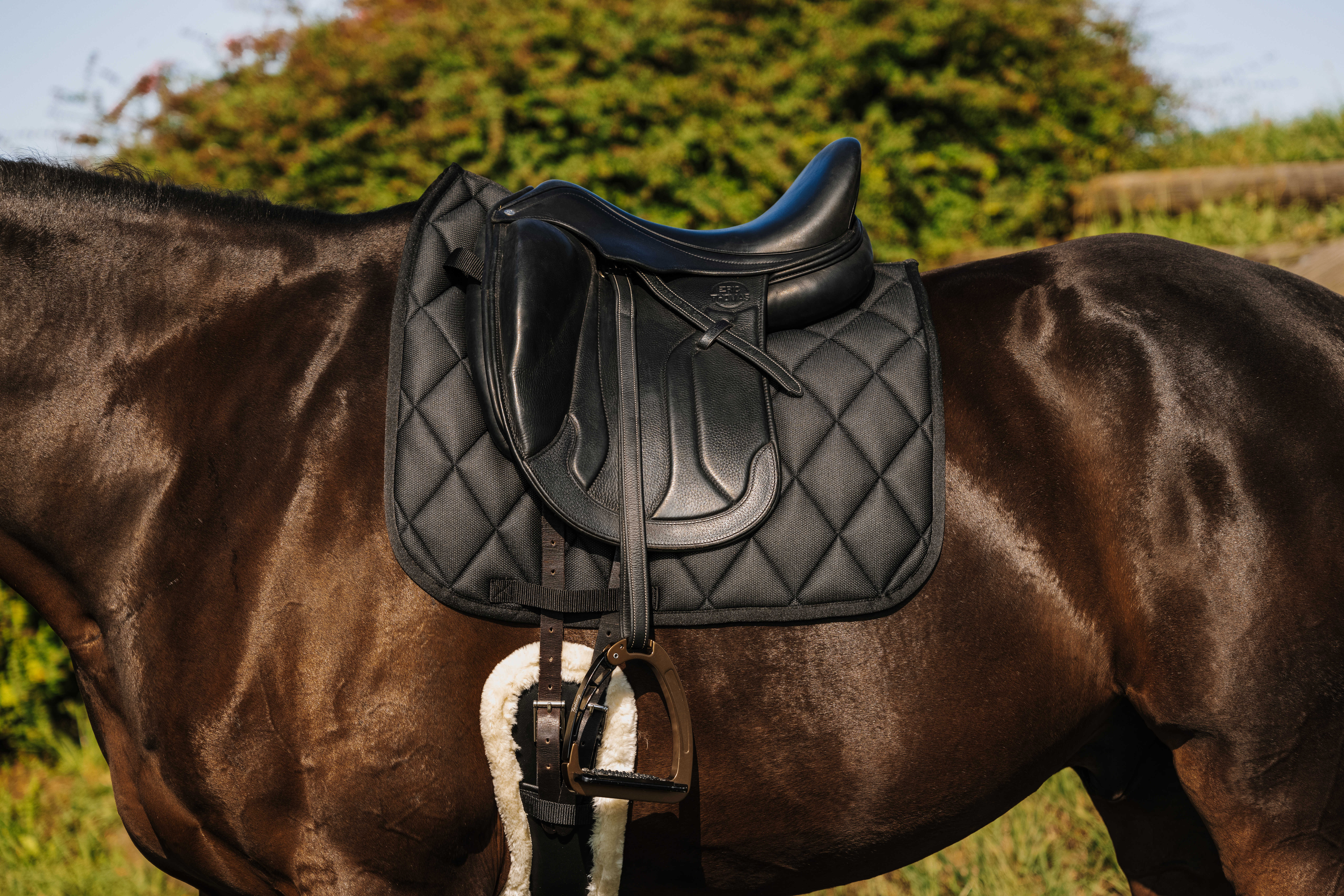 Riding World School Dressage Saddle Pad Black - 2