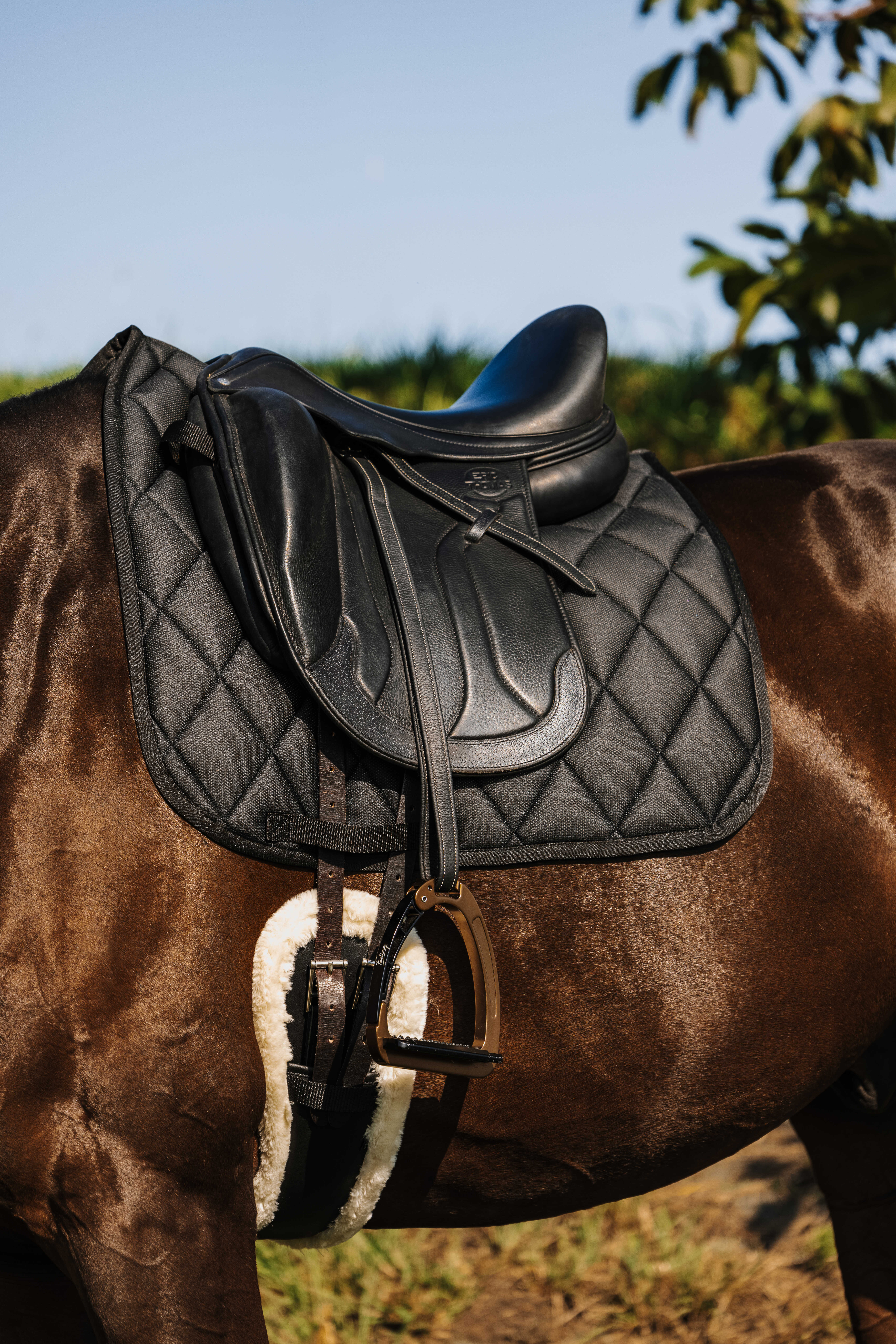 Riding World School Dressage Saddle Pad Black - 3