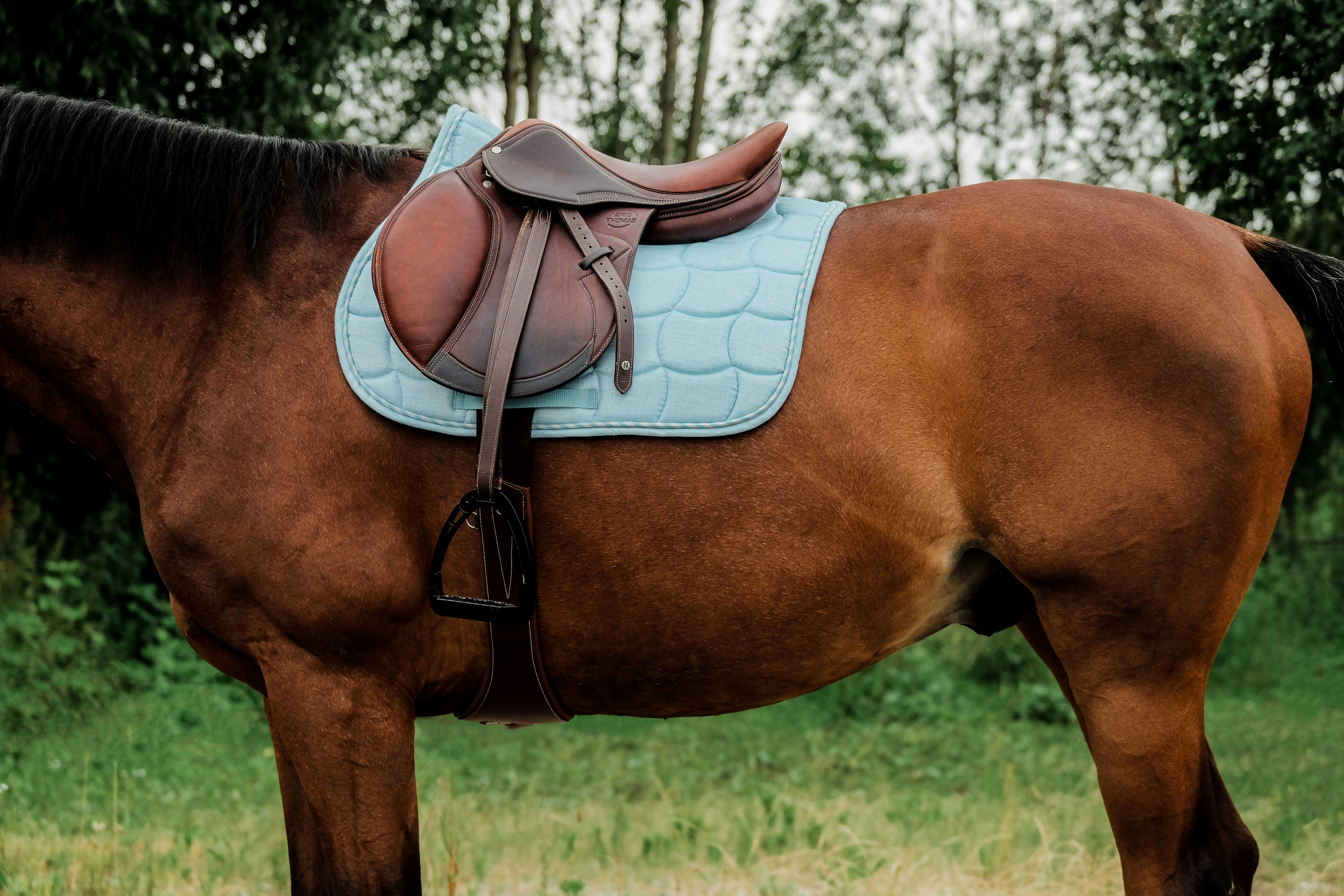 Riding World Sunshine Saddle Pad Blue/light blue - 2