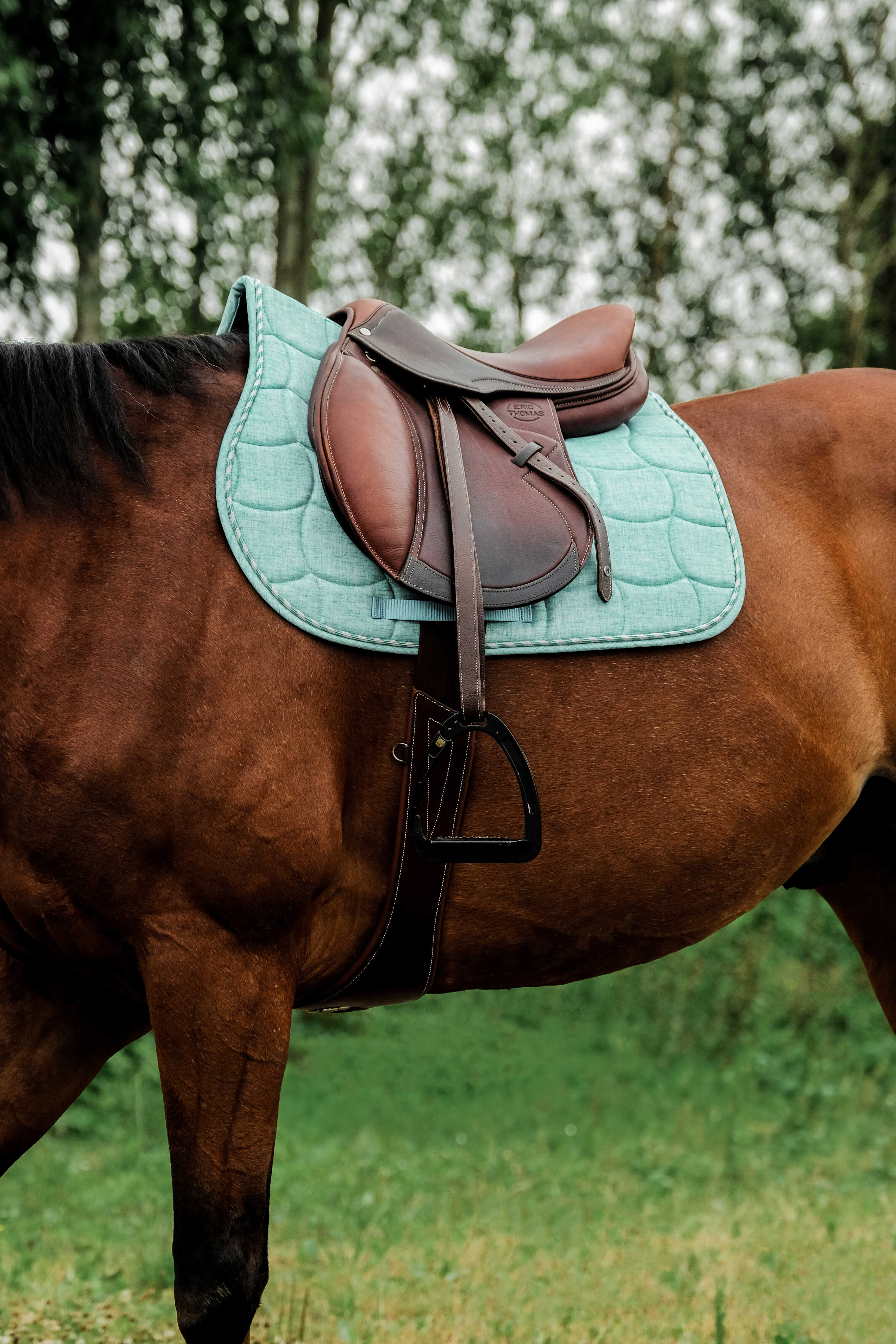 Riding World Sunshine Saddle Pad Light green - 3