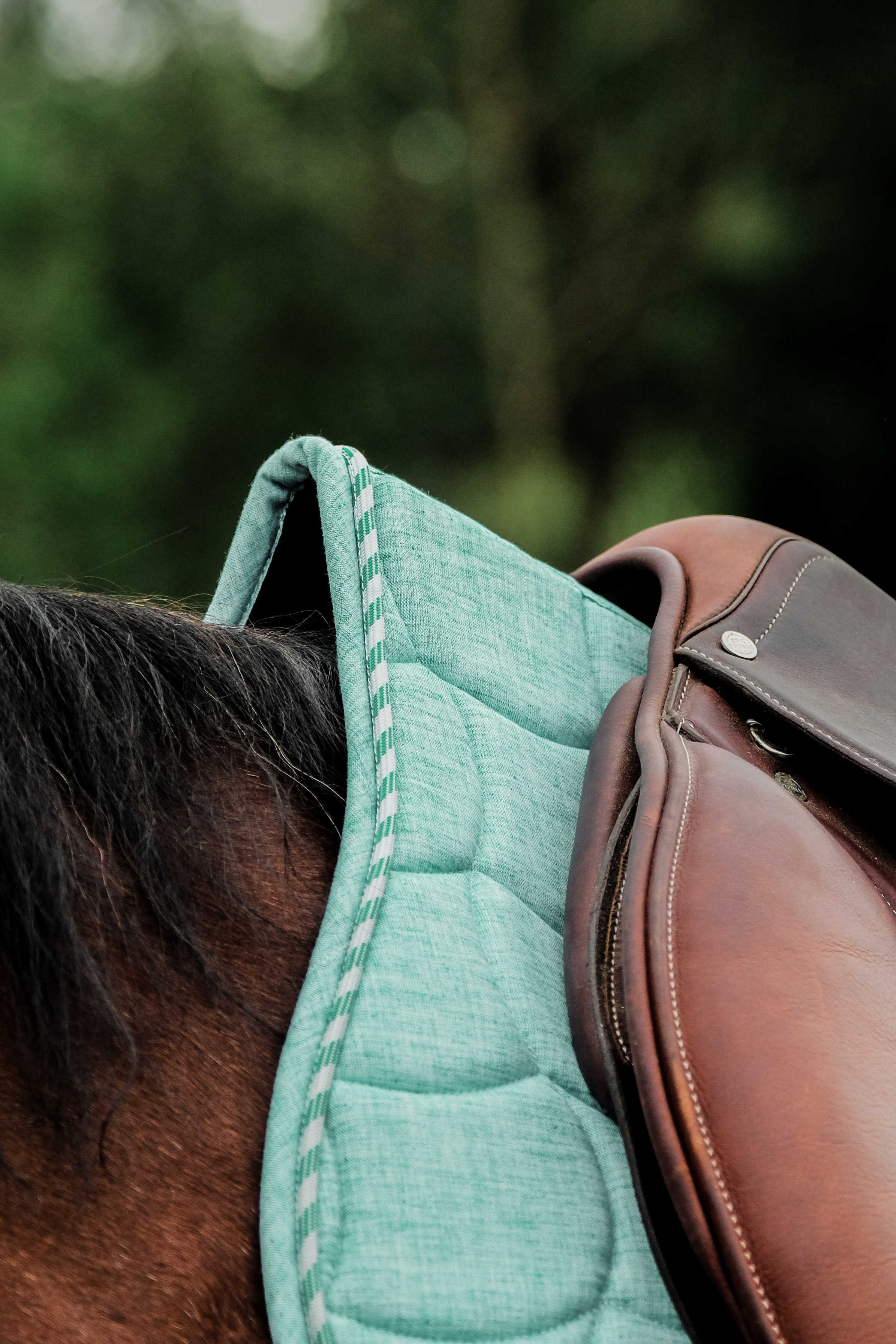 Riding World Sunshine Saddle Pad Light green - 5