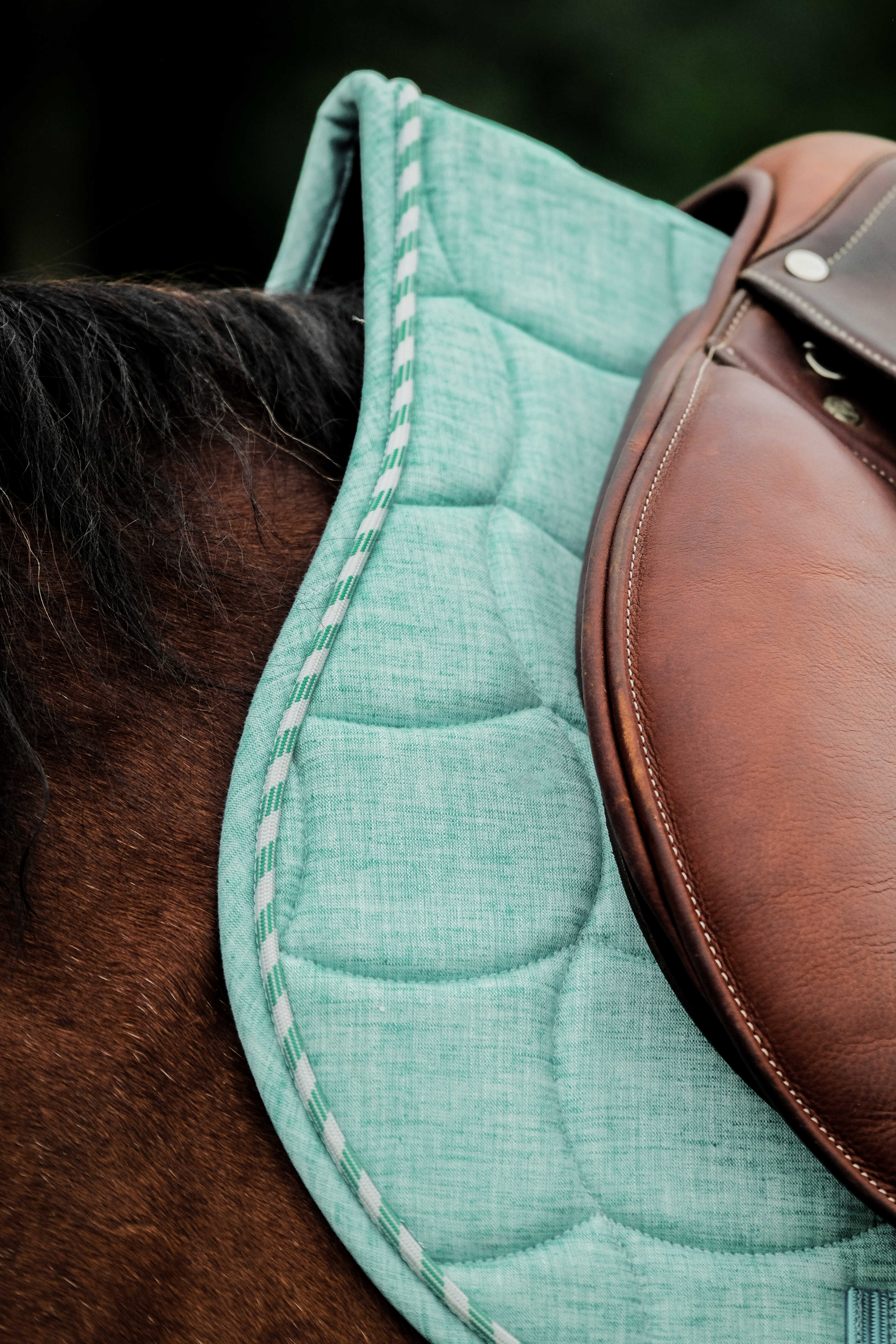 Riding World Sunshine Saddle Pad Light green - 4