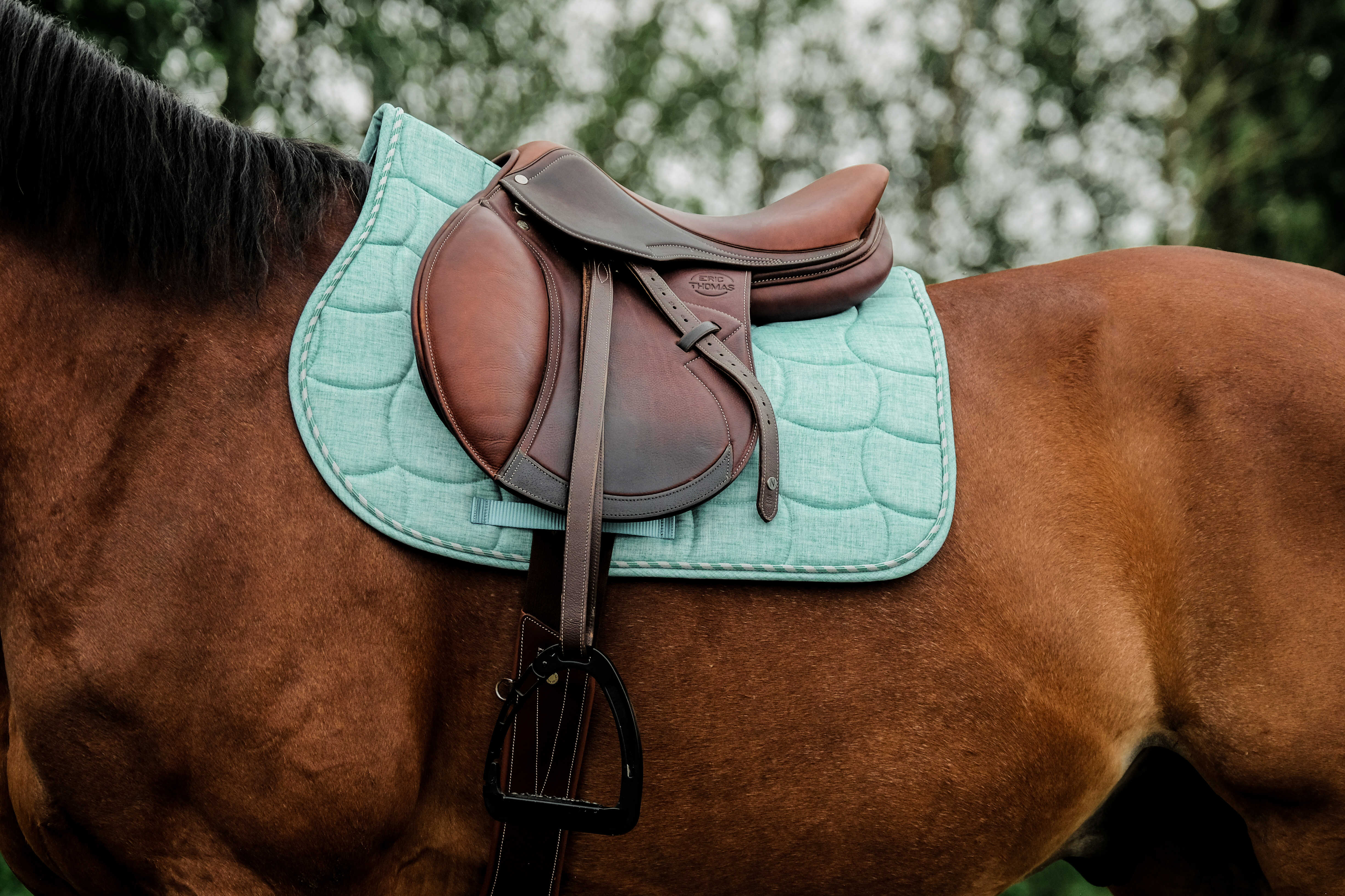 Riding World Sunshine Saddle Pad Light green - 2