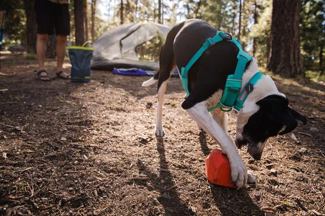Ruffwear Front Range® Harness - Basalt Gray 