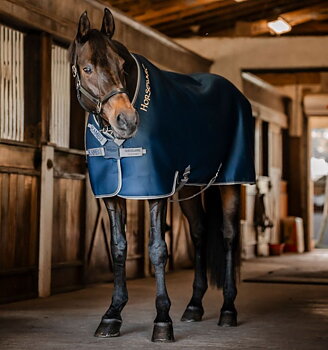 Horseware Rambo Airmax Cooler Disc Front - Navy/Thunderstorm Grey & Silver