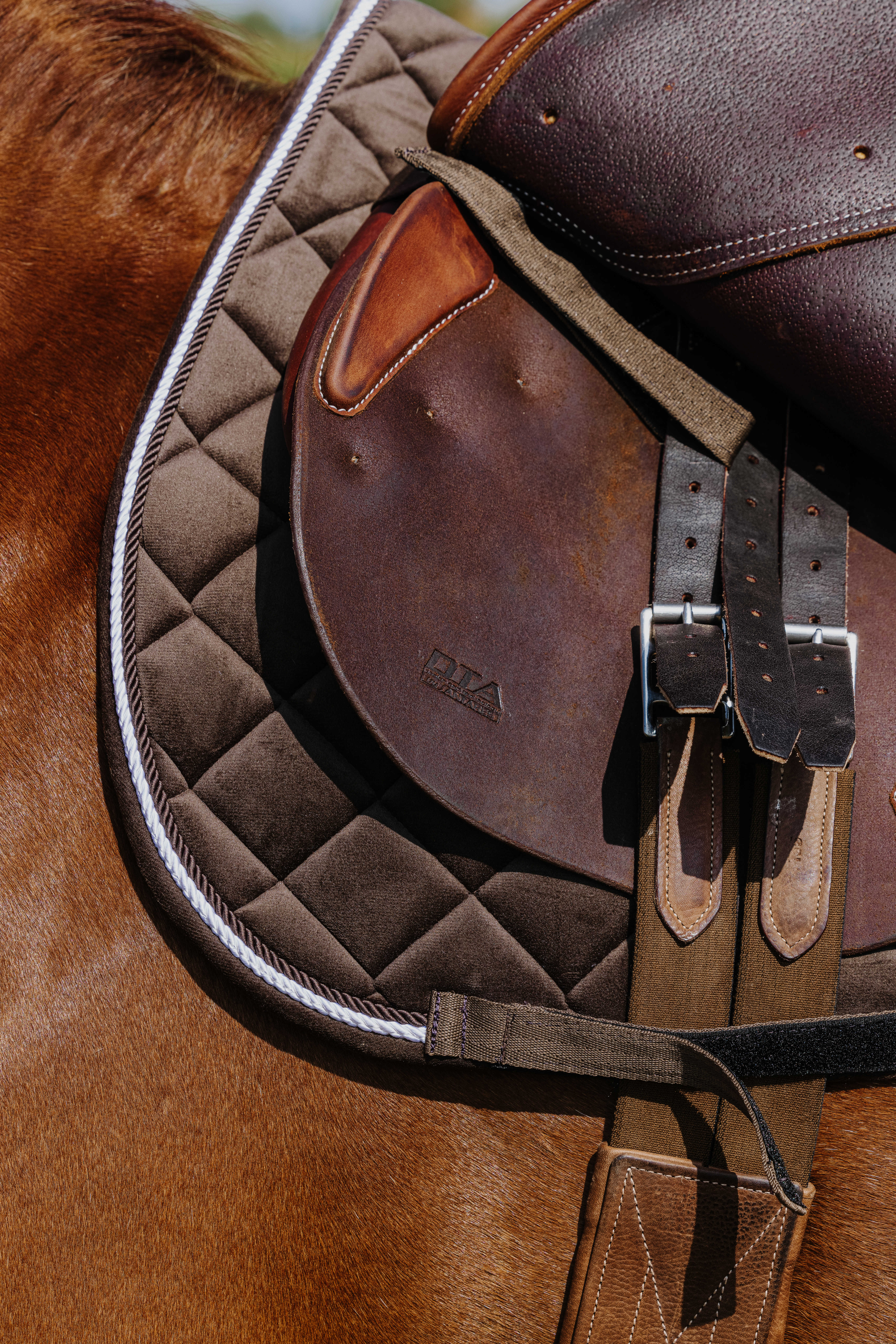 Riding World Velours Schabrak Chestnut - 4