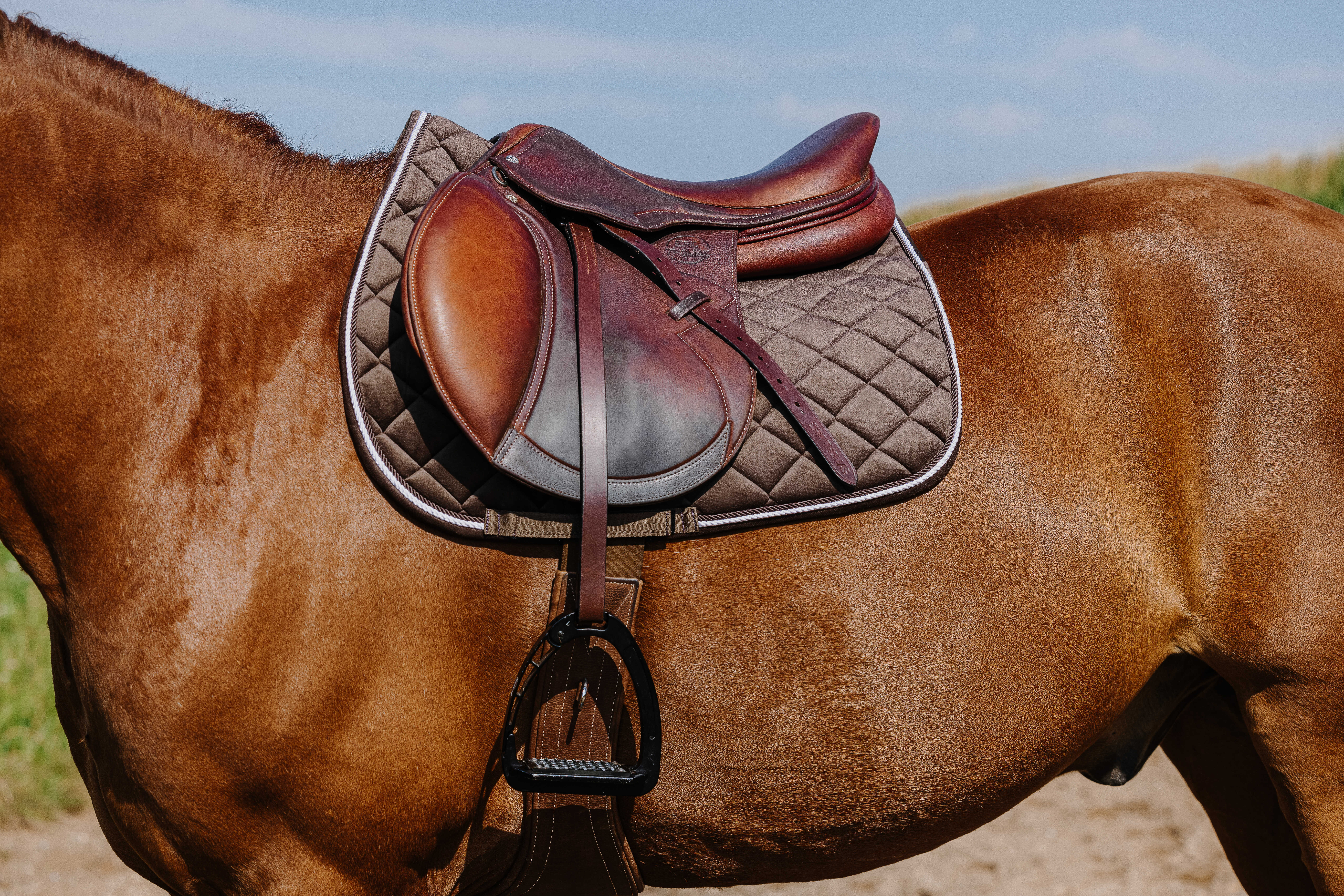 Riding World Velours Schabrak Chestnut - 2
