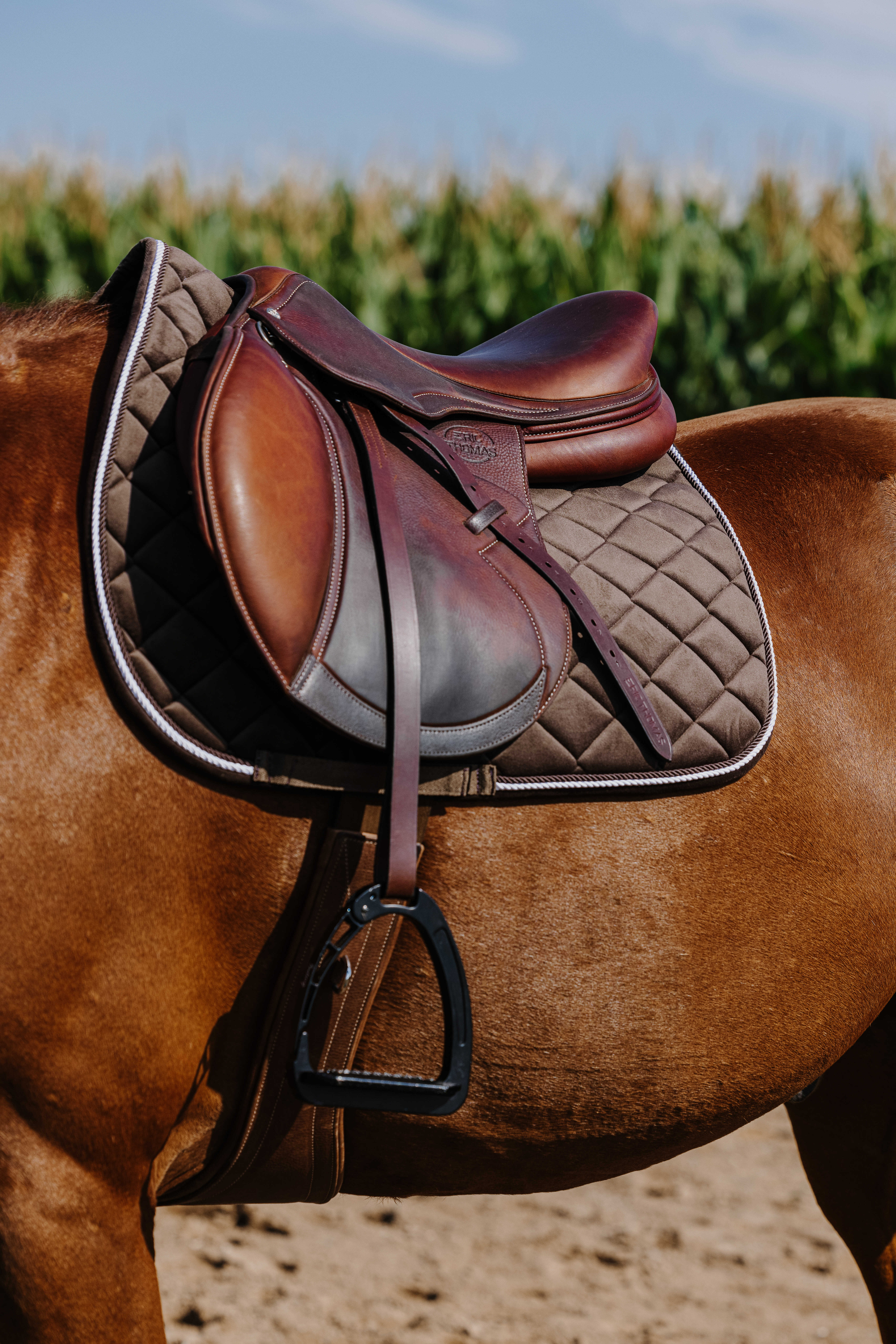 Riding World Velours Schabrak Chestnut - 3