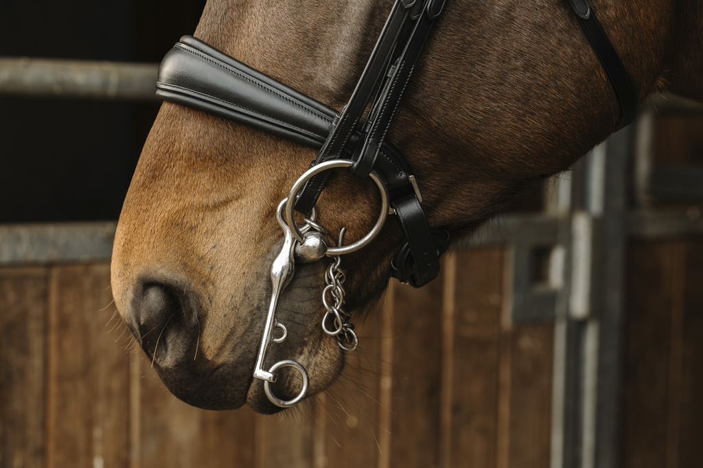 NORTON 'Basal' Bridle Black - 3