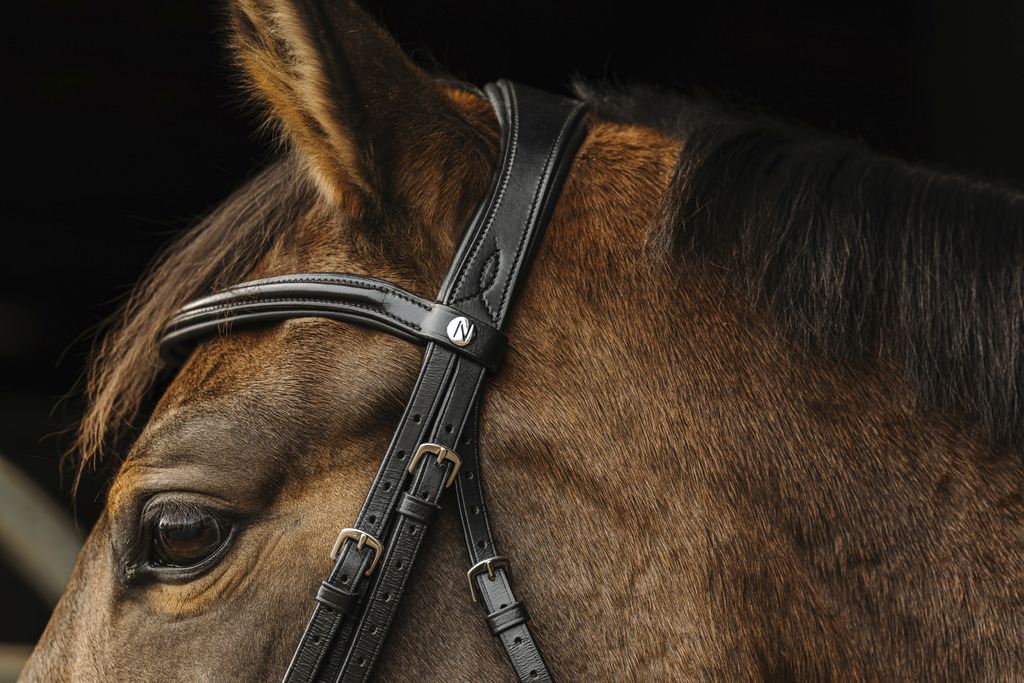 NORTON 'Basal' Bridle Black - 2