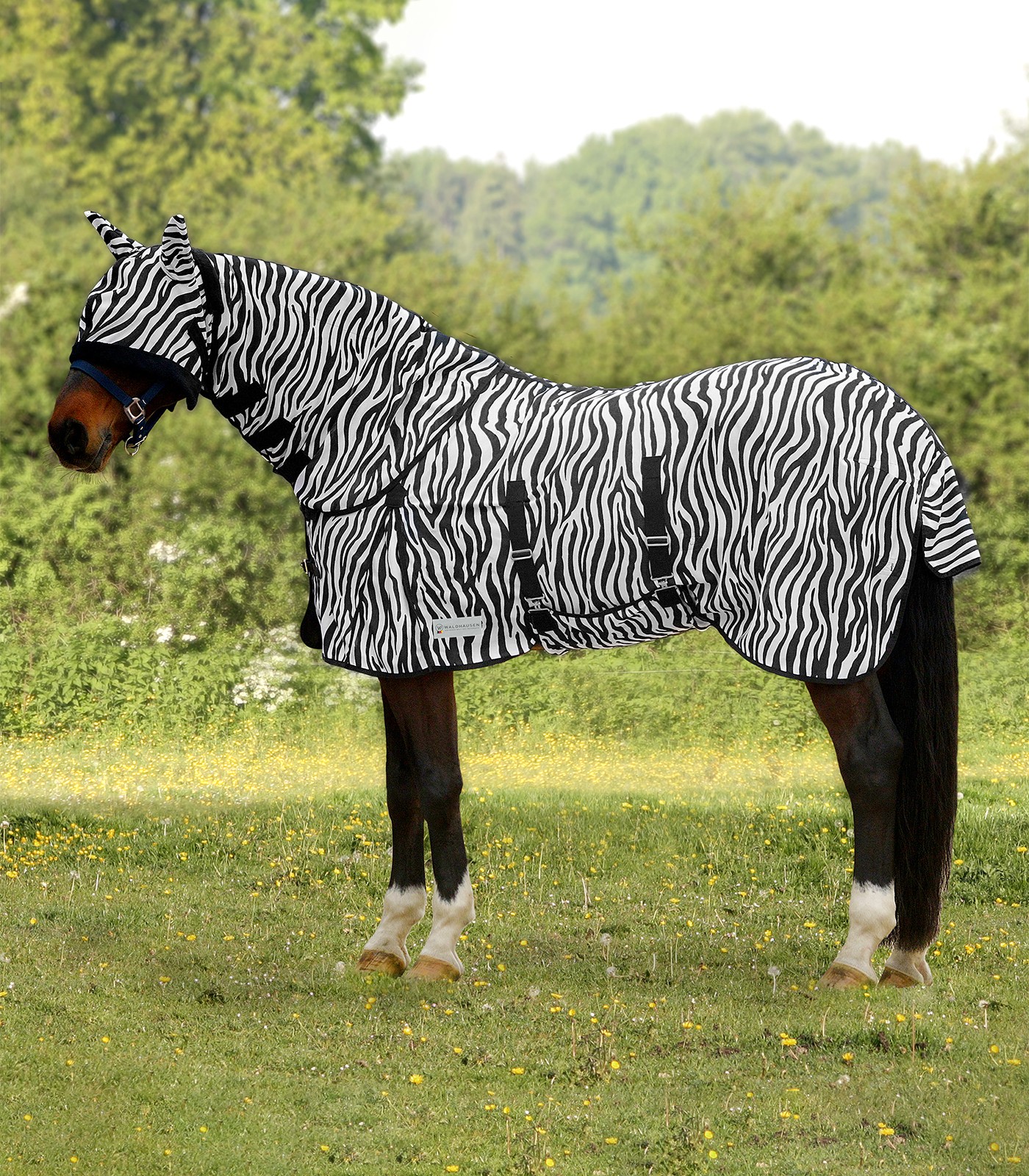 Waldhausen Flugtäcke Zebra (135)