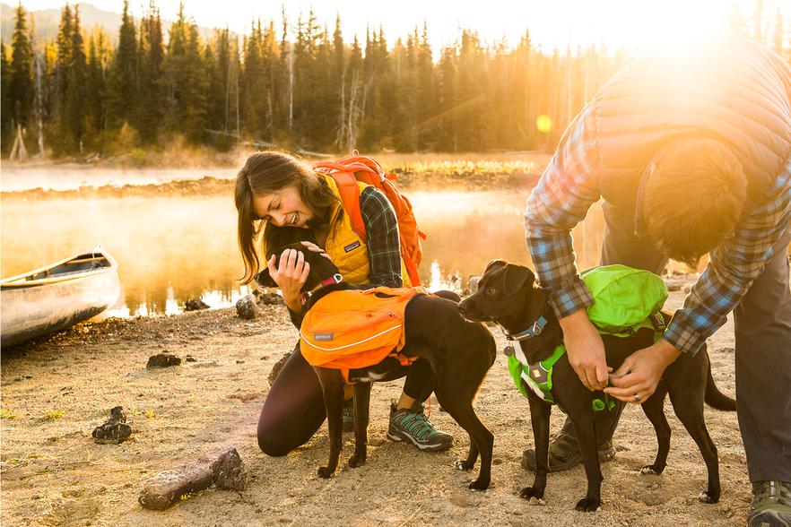 ruffwear approach dog backpack