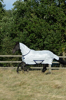 Bucas Freedom Fly Rug Pony Sizes – Silver/Blue