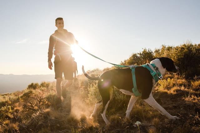 Ruffwear Front Range Harness Moonlight Mountains Petster Suomi