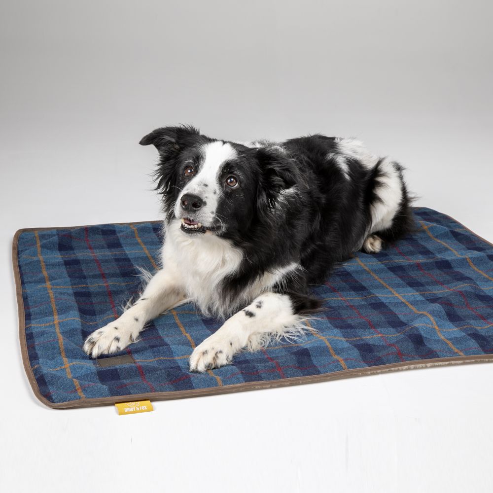 Digby & Fox Tweed Hundfilt 80x100 cm - Navy 