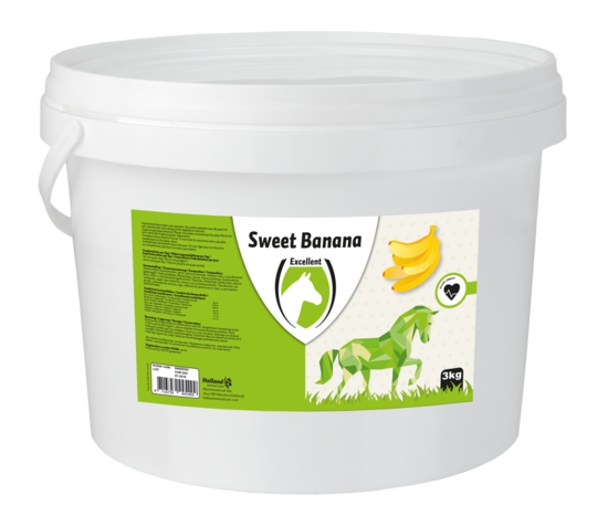 Holland Animal Care- Sweet Banana Blocks- Hästgodis - 3 kg