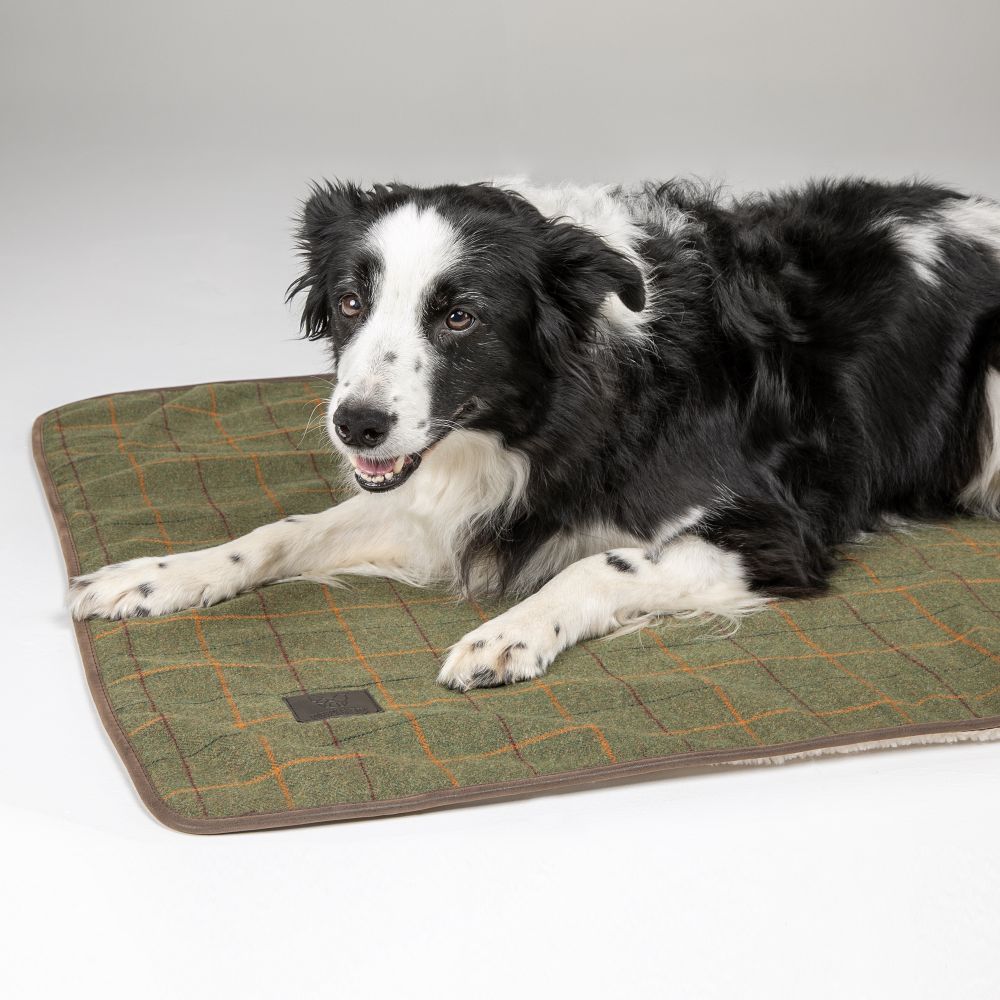  Digby & Fox Tweed Hundedecke 60x80 cm
