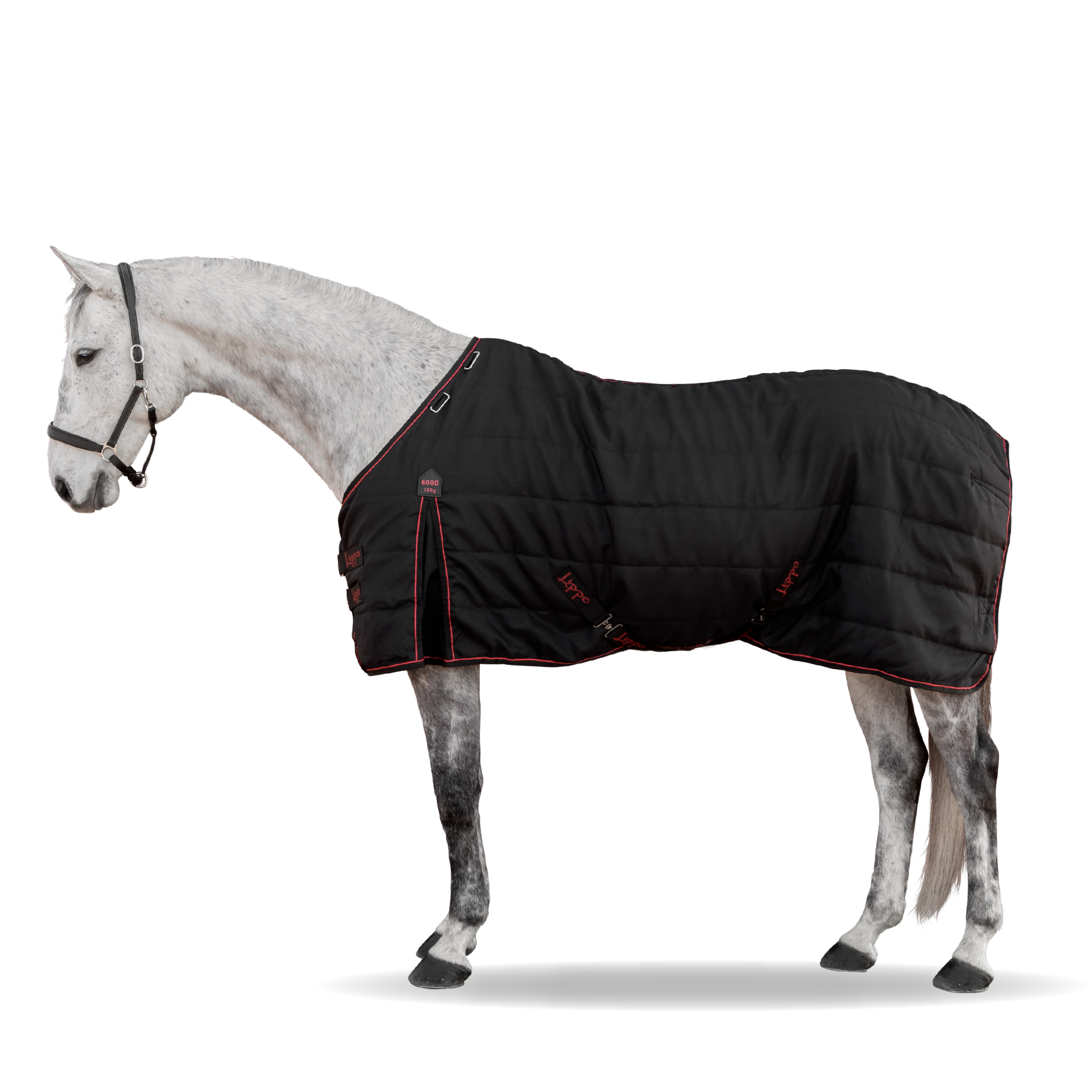 LIPPO Stable Rug Supreme Black - 100 g , 155