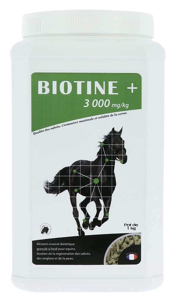 ODM Biotiini +3000 mg/kg Ravintolisä 1 kg