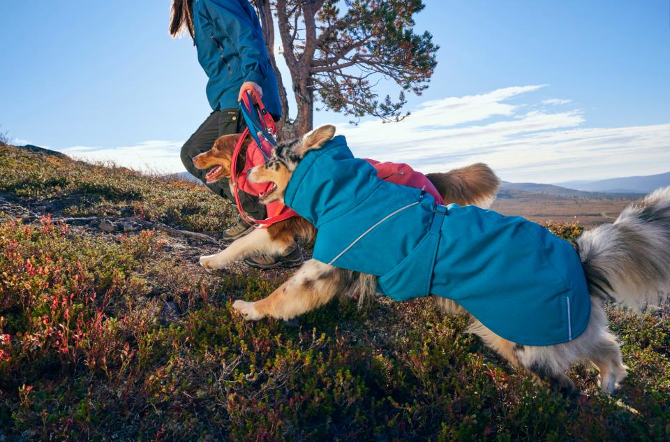 Hurtta Expedition Parka II Dog Coat - Ocean, 30XL - 5