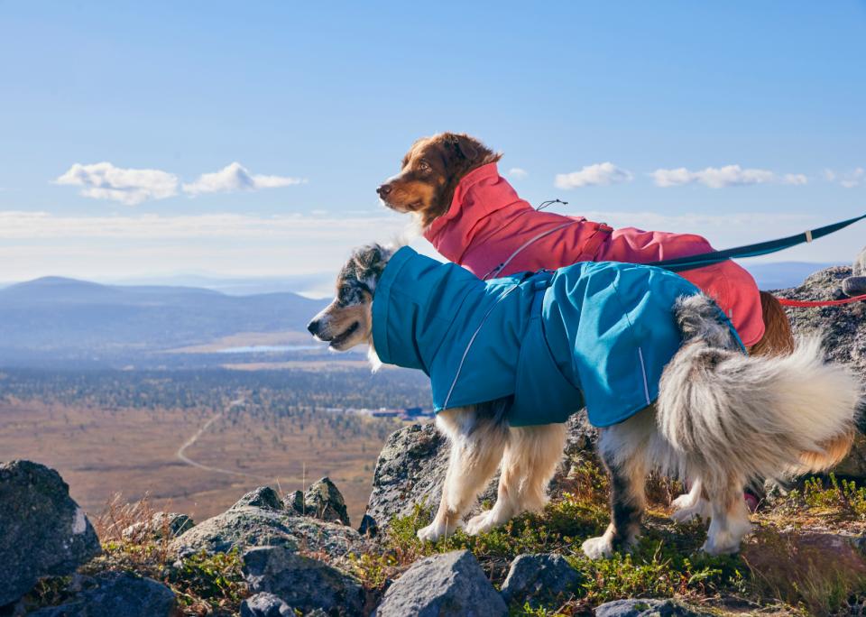 Hurtta Expedition Parka II Dog Coat - Ocean, 23 - 3