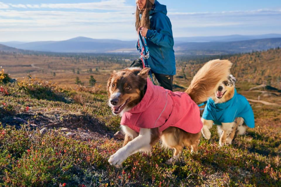 Hurtta Expedition Parka II Koiran Takki - Strawberry, 45XS - 4