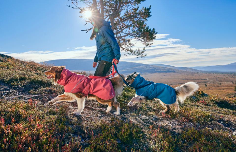 Hurtta Expedition Parka II Koiran Takki - Strawberry, 45XS - 2