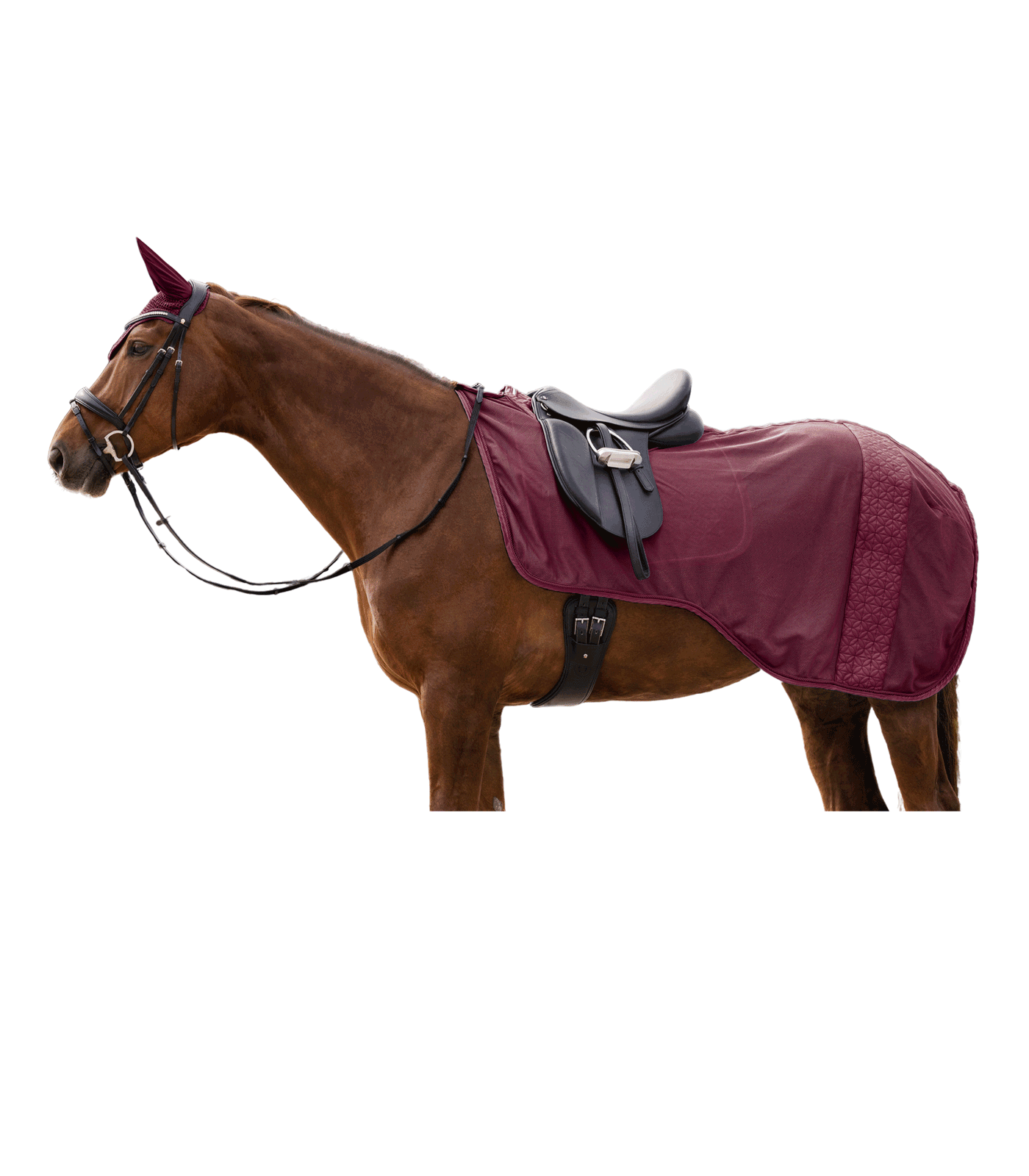 Waldhausen Rom fly riding blanket - Velvet red - 4