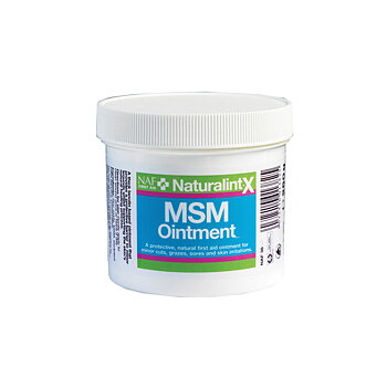 NAF NaturlintX MSM Salva 250g
