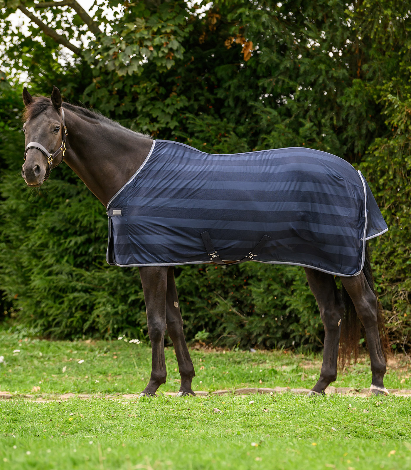 Waldhausen Economic fly blanket - Night blue - 2