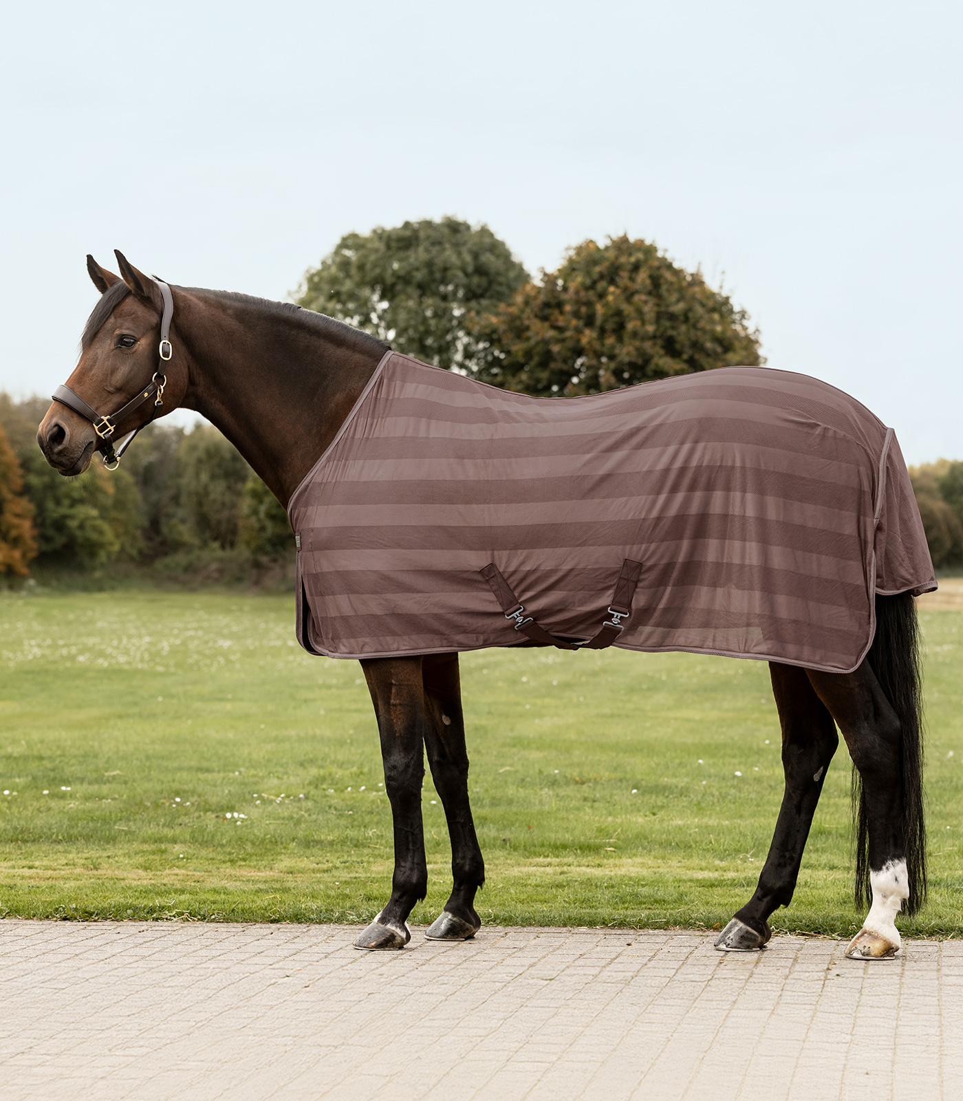 Waldhausen Economic Flugtäcke - Mocca (85)