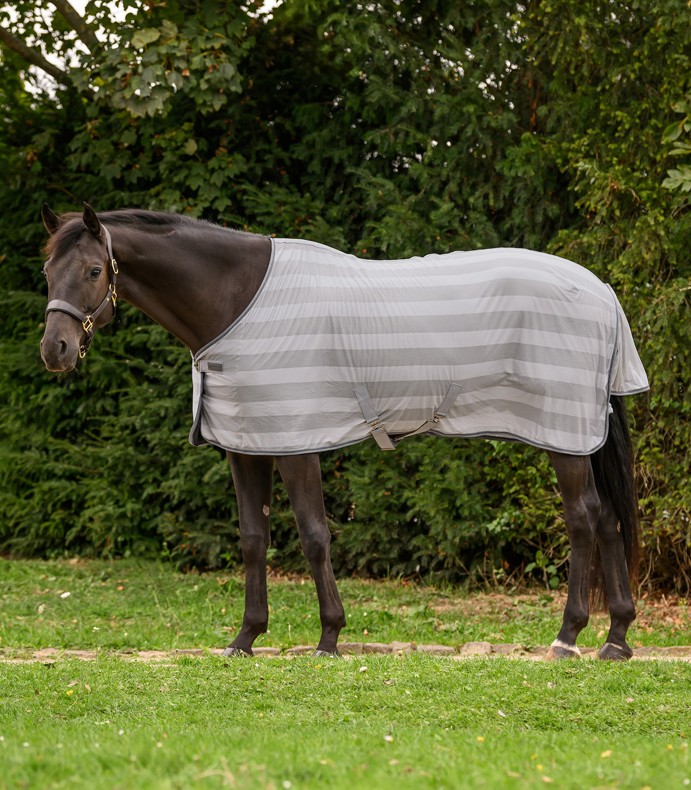 Waldhausen Economic fly blanket - Silver grey - 2