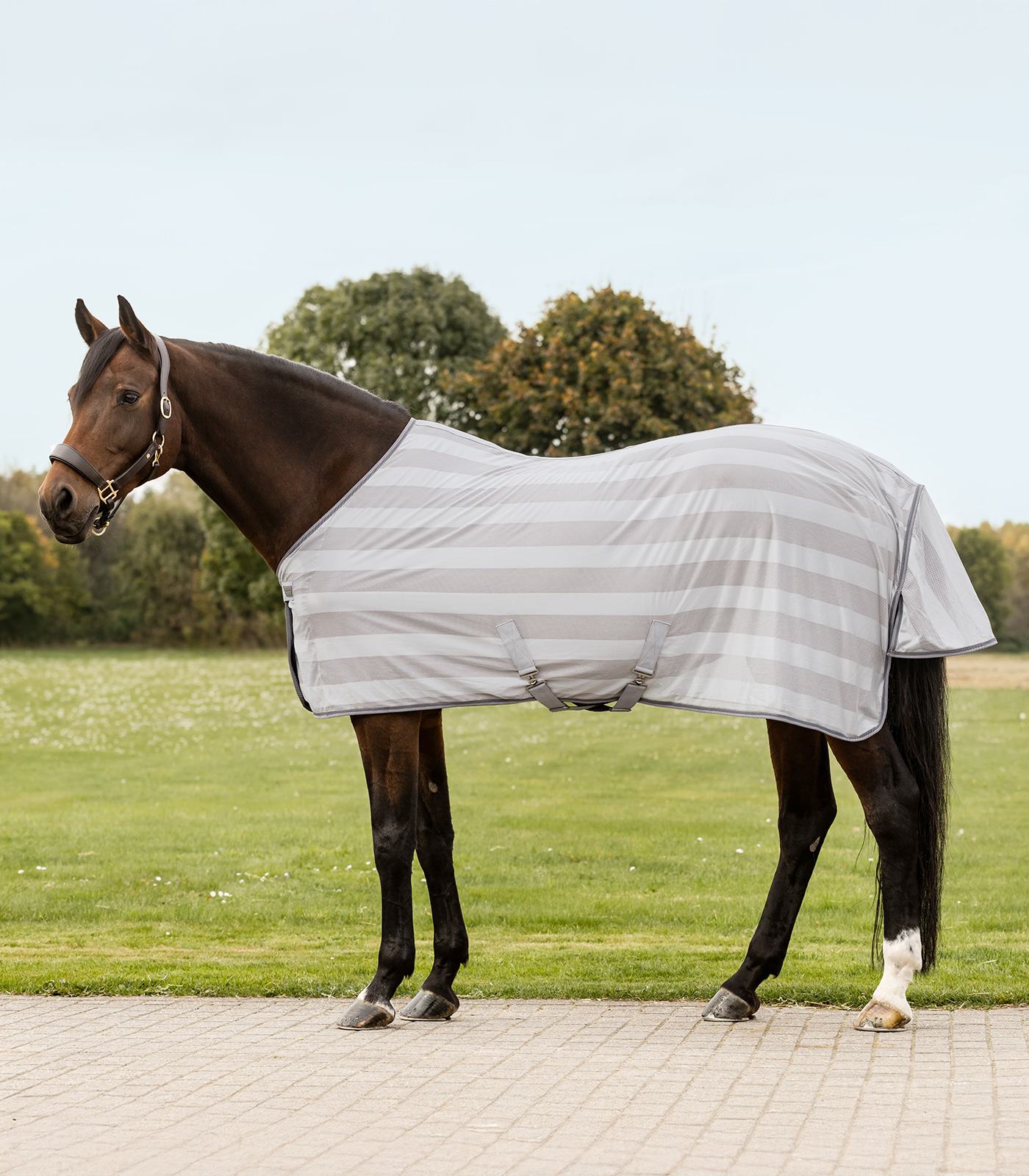 Waldhausen Economic Flugtäcke - Silvergrå (85)