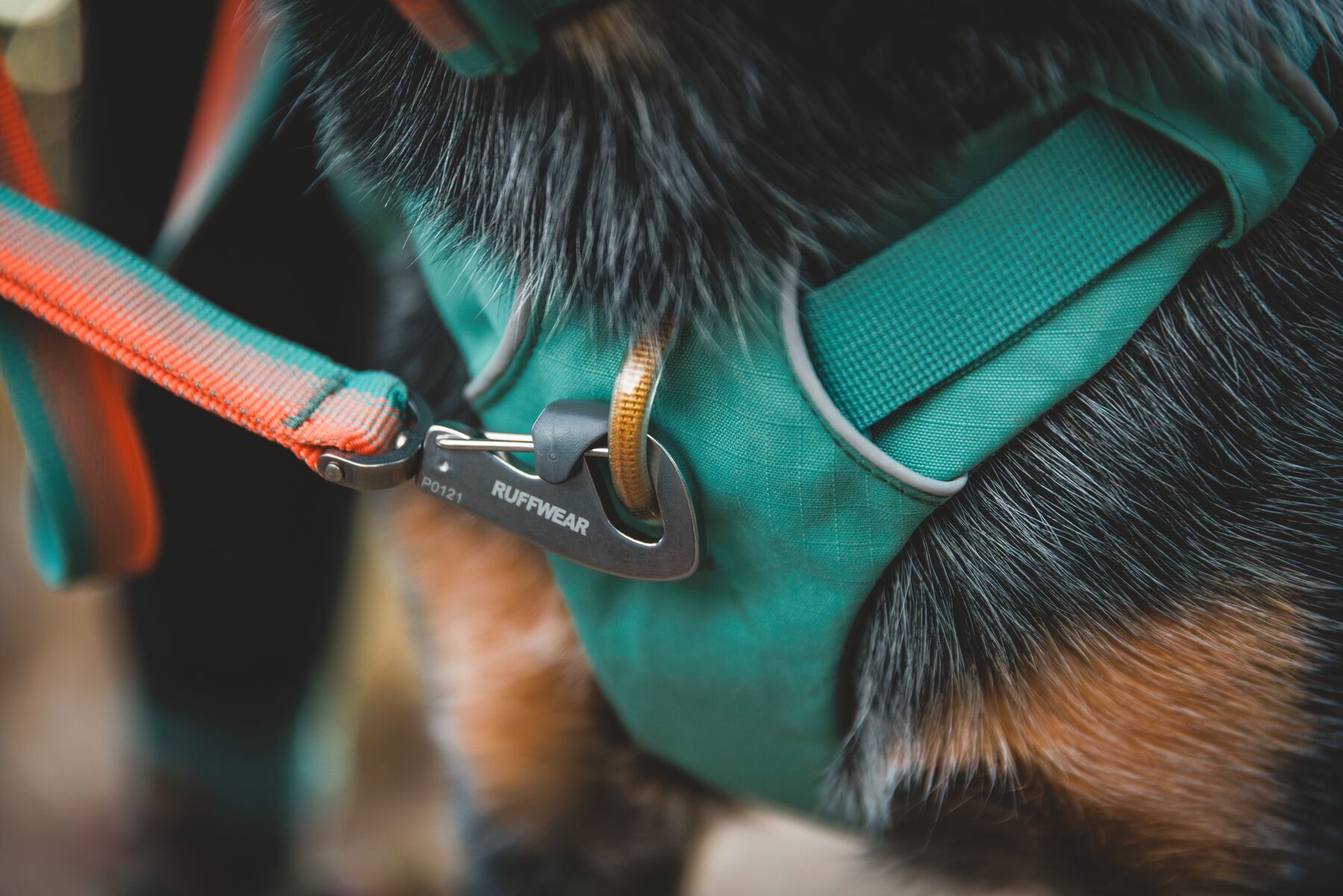 Ruffwear Front Range™ Leash - Coastal Fade 