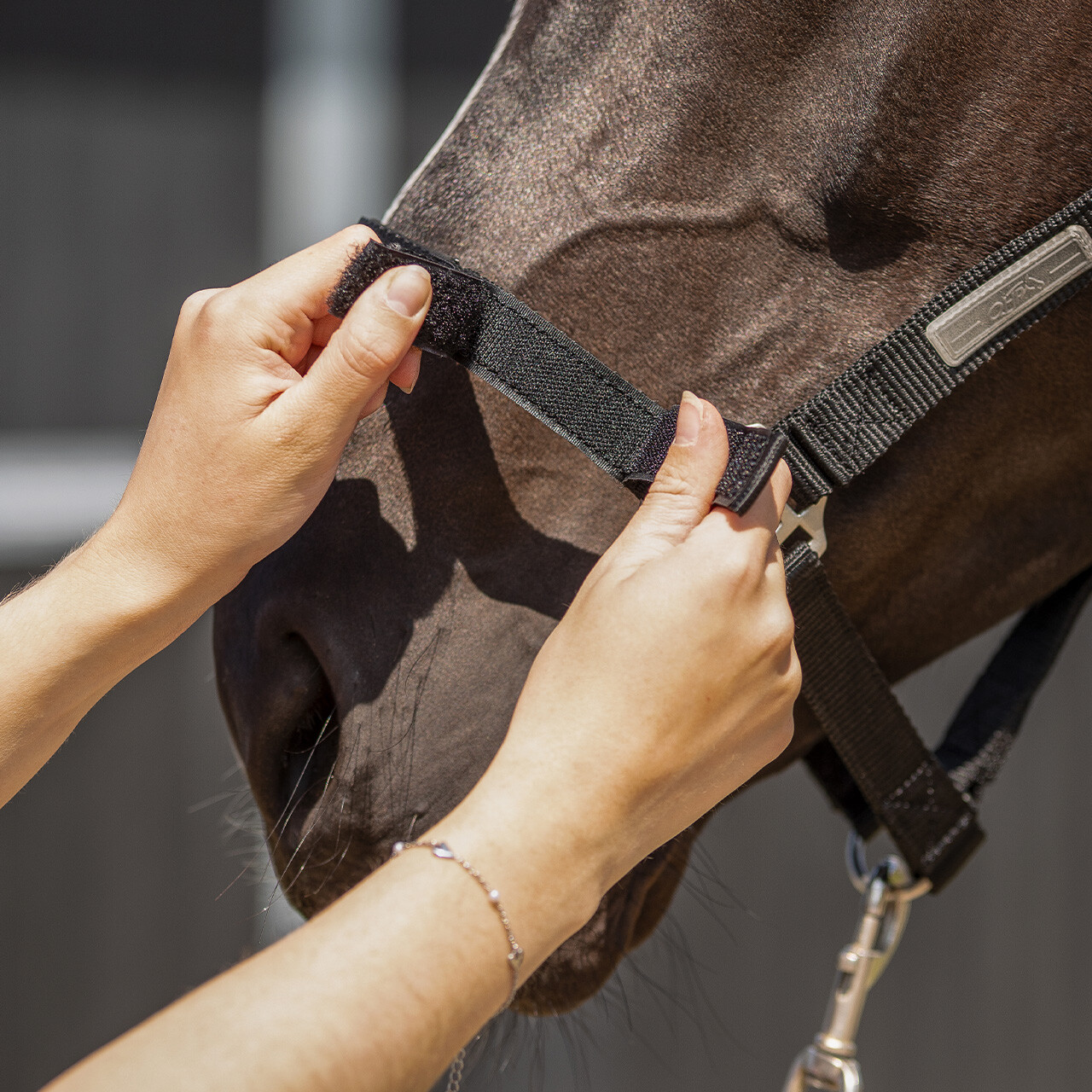 QHP Tack Up Riimu - Musta, Full - 5