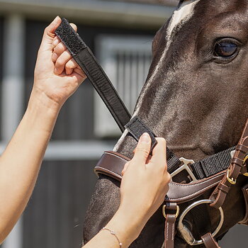 QHP Tack Up Riimu - Musta, Cob