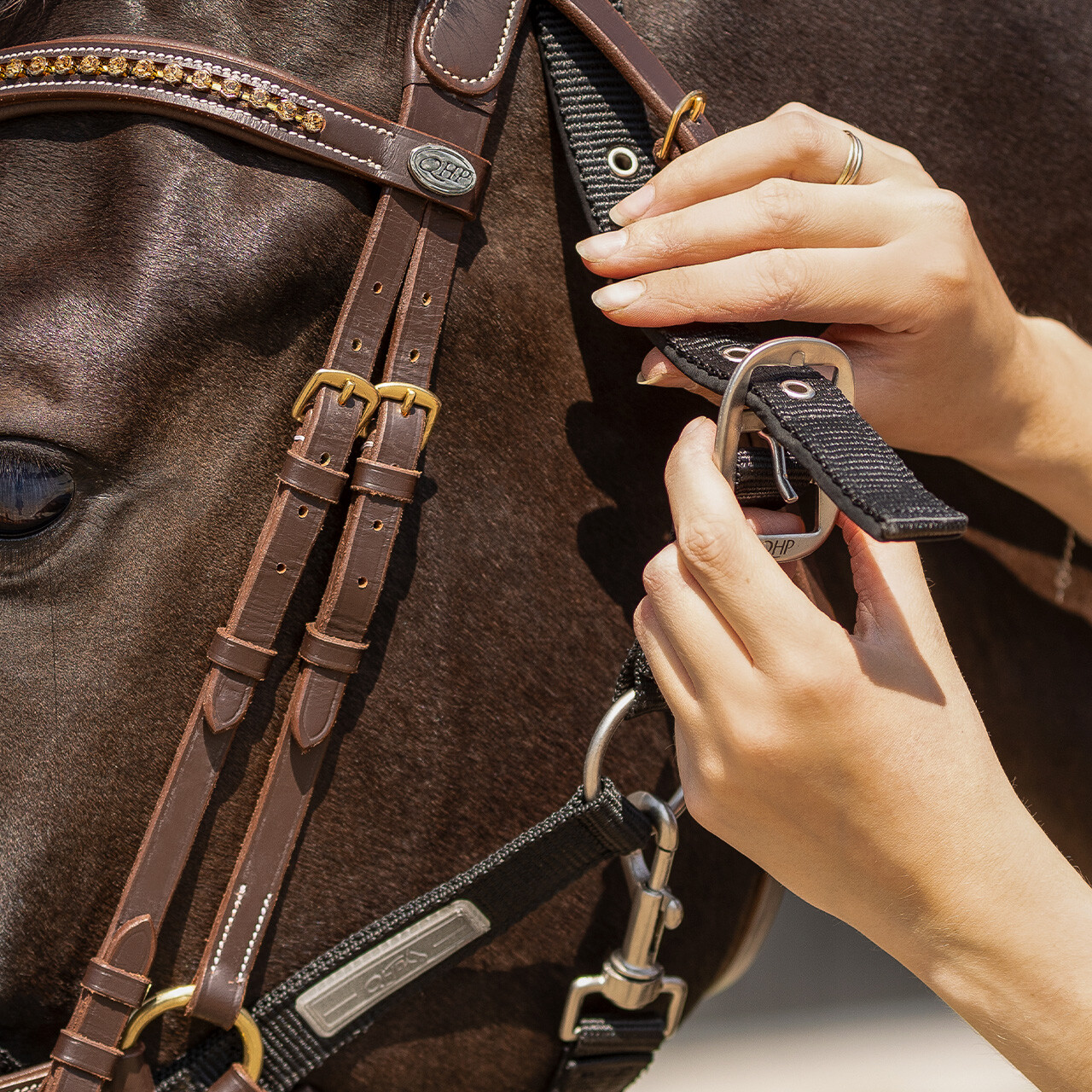 QHP Tack Up Riimu - Musta, Cob - 3