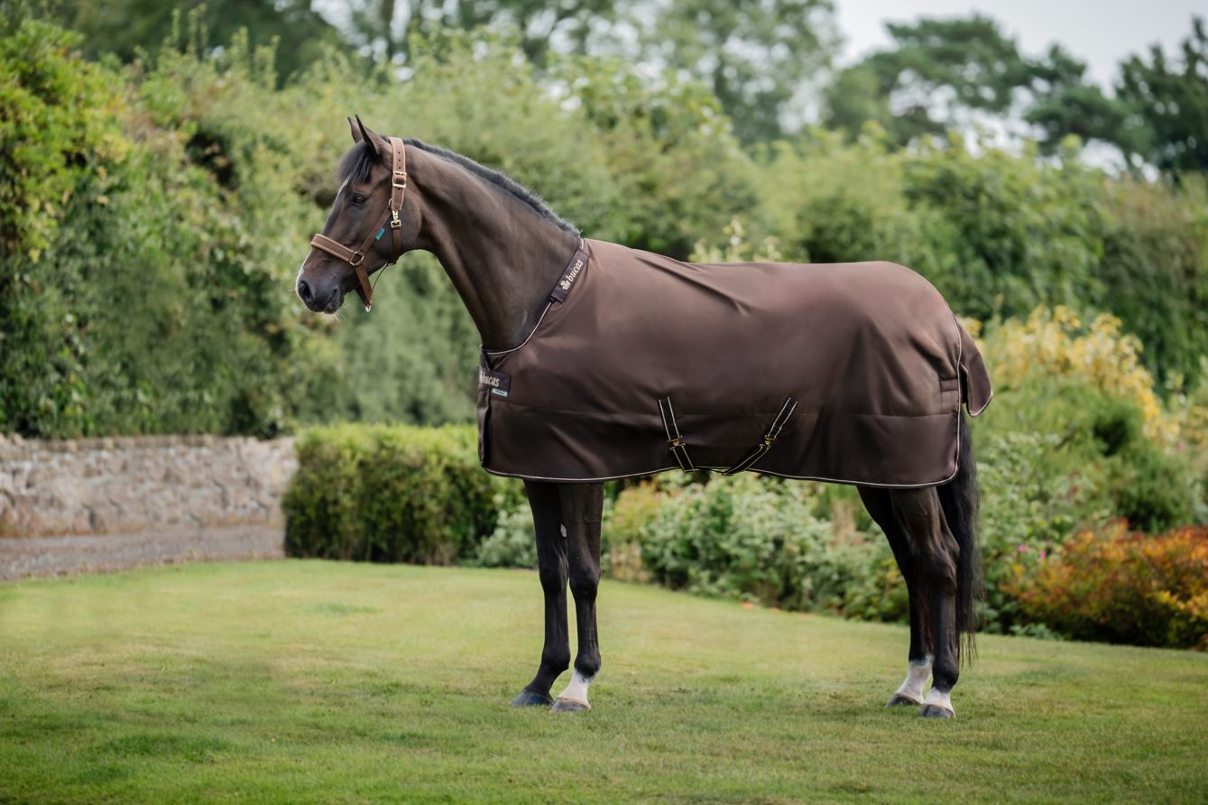 Bucas Irish Turnout Hästtäcke + Avtagbar hals 50 g - Espresso (135)