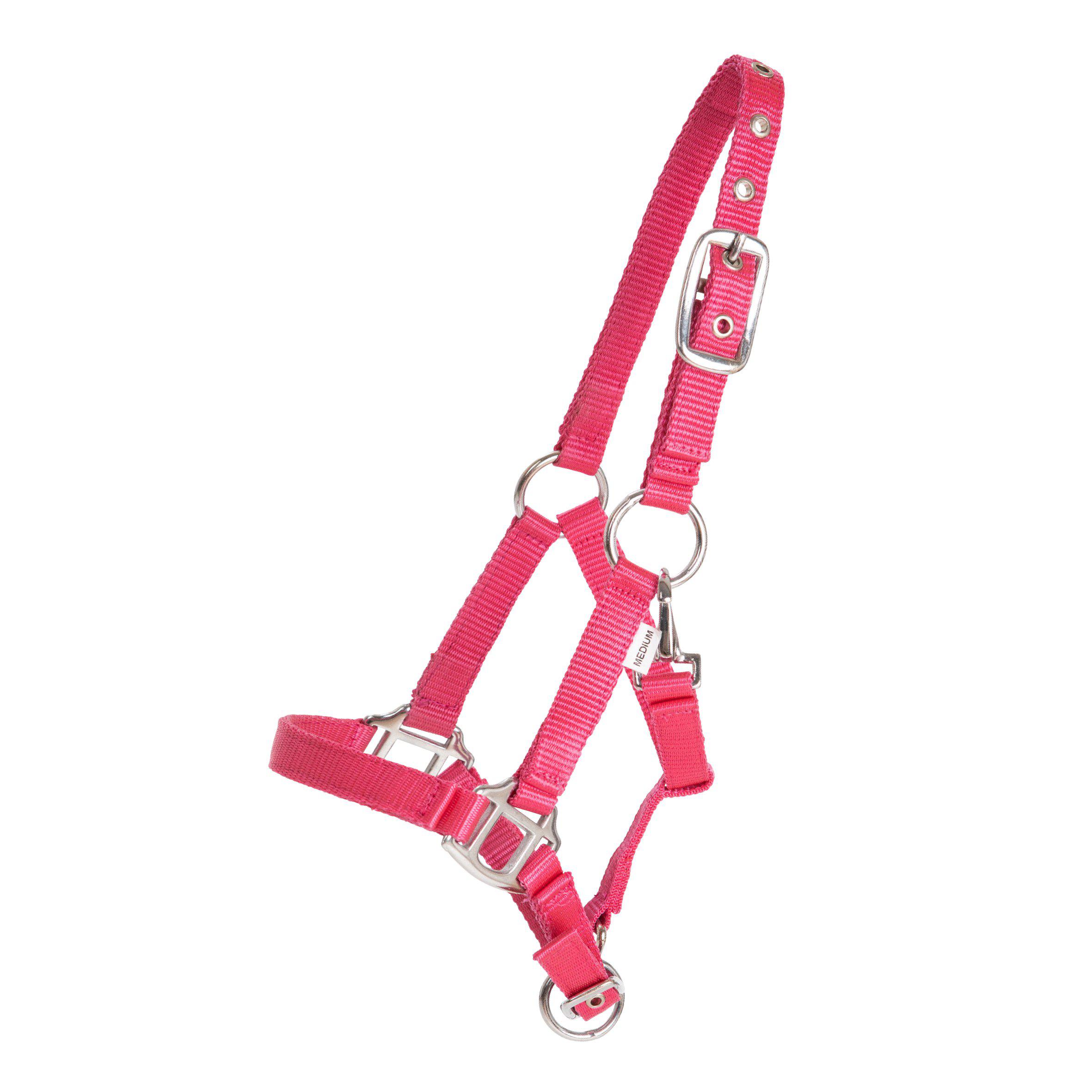 Protector Miniature Grimma - Cerise, S - 2