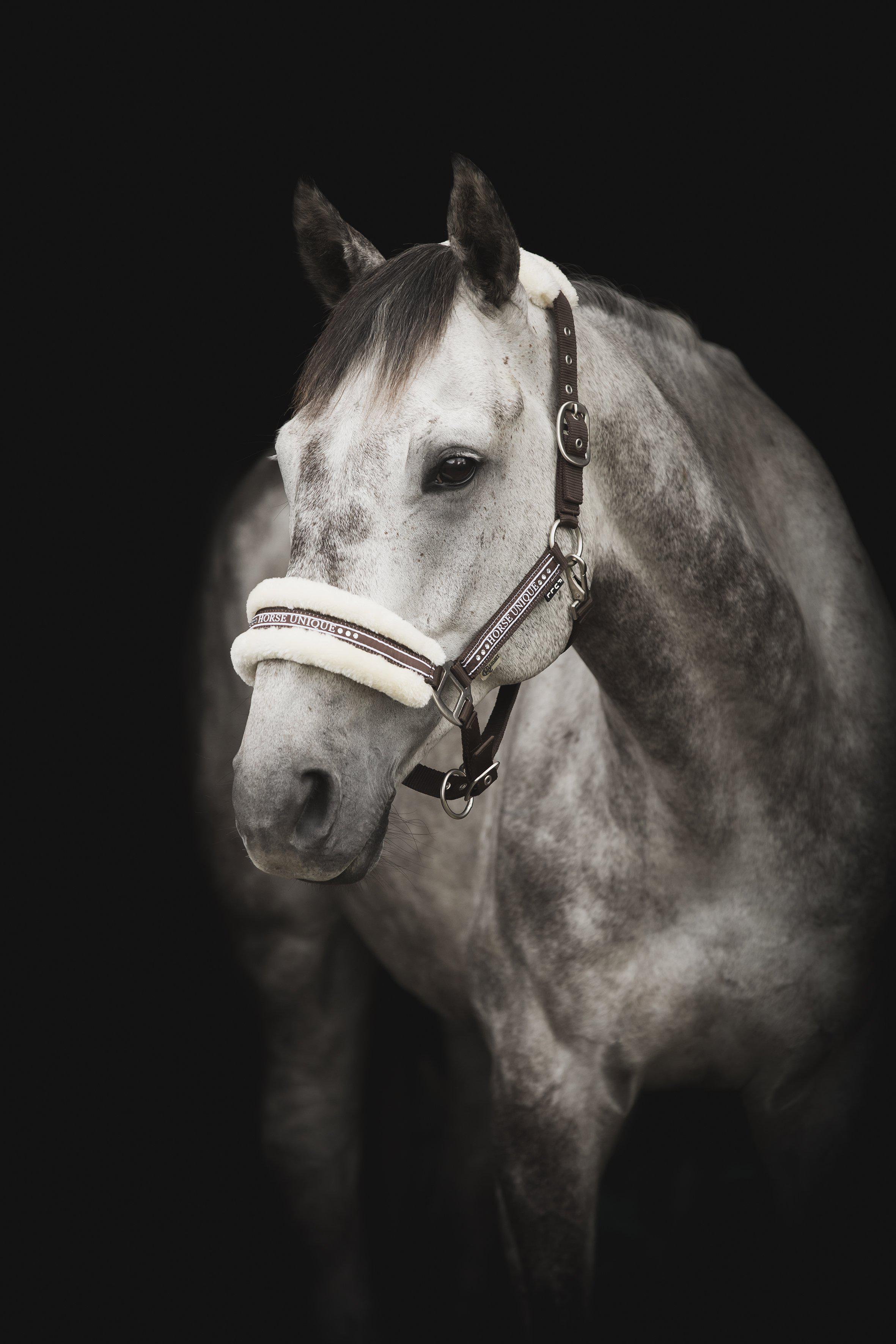 Horse Unique Grimma Med Päls - Grön/Creme Päls, X-Full - 3