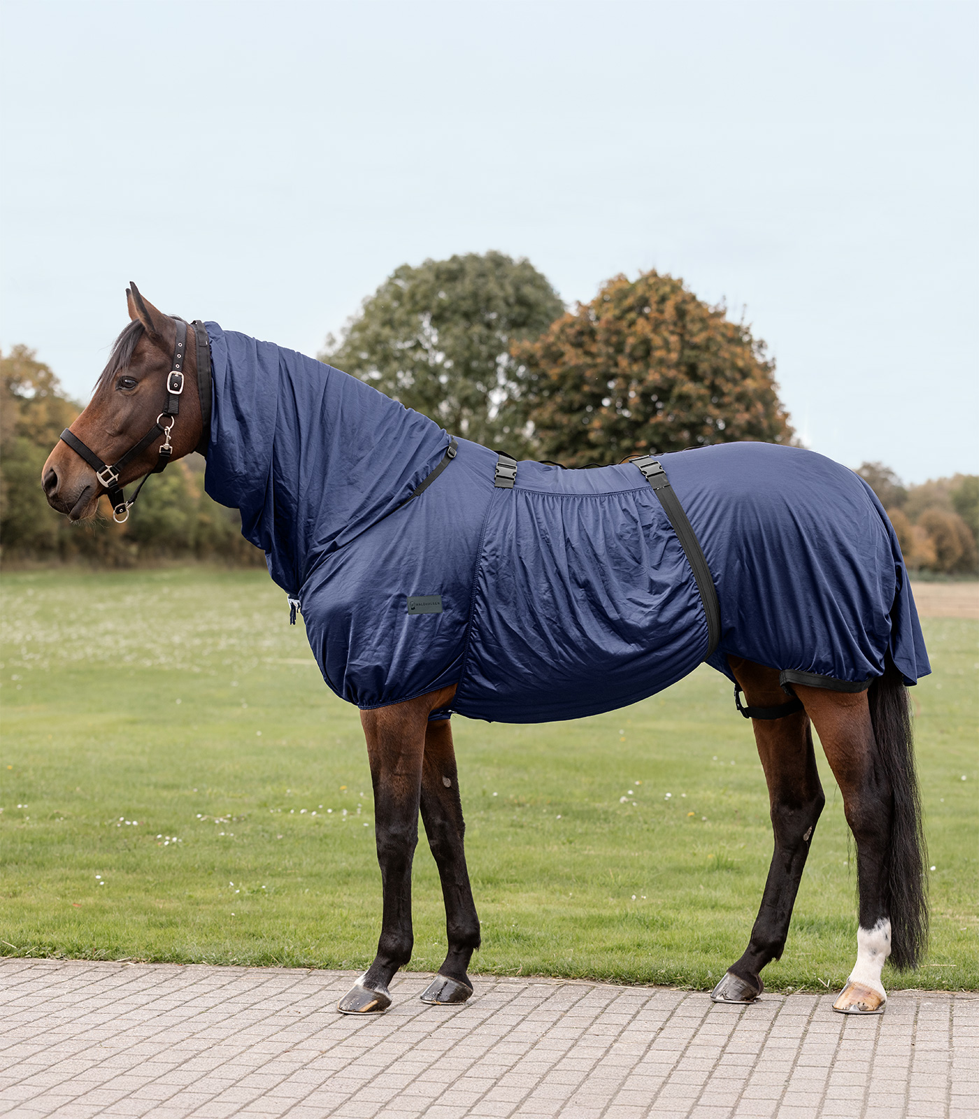 Waldhausen Basic Eksemtäcke - Night Blue (115)