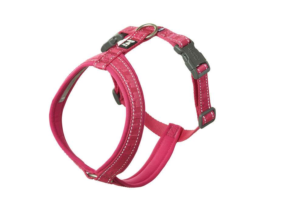 Hurtta Casual Y Harness ECO - Ruby, 60-70 - 2