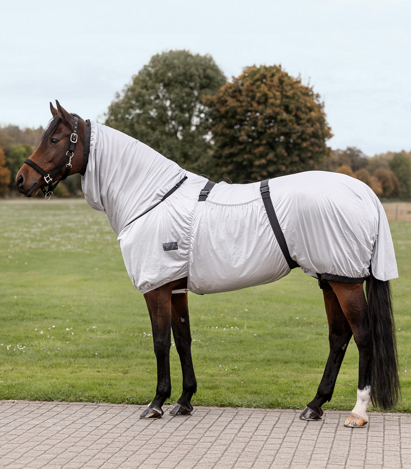 Waldhausen Basic Eksemtäcke - Silvergrå (115)