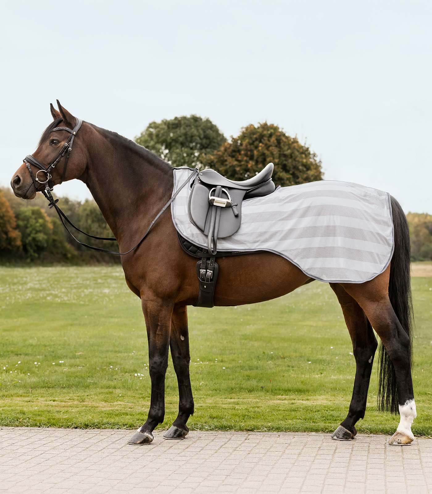 Waldhausen Economic Fly riding blanket - Silver grey