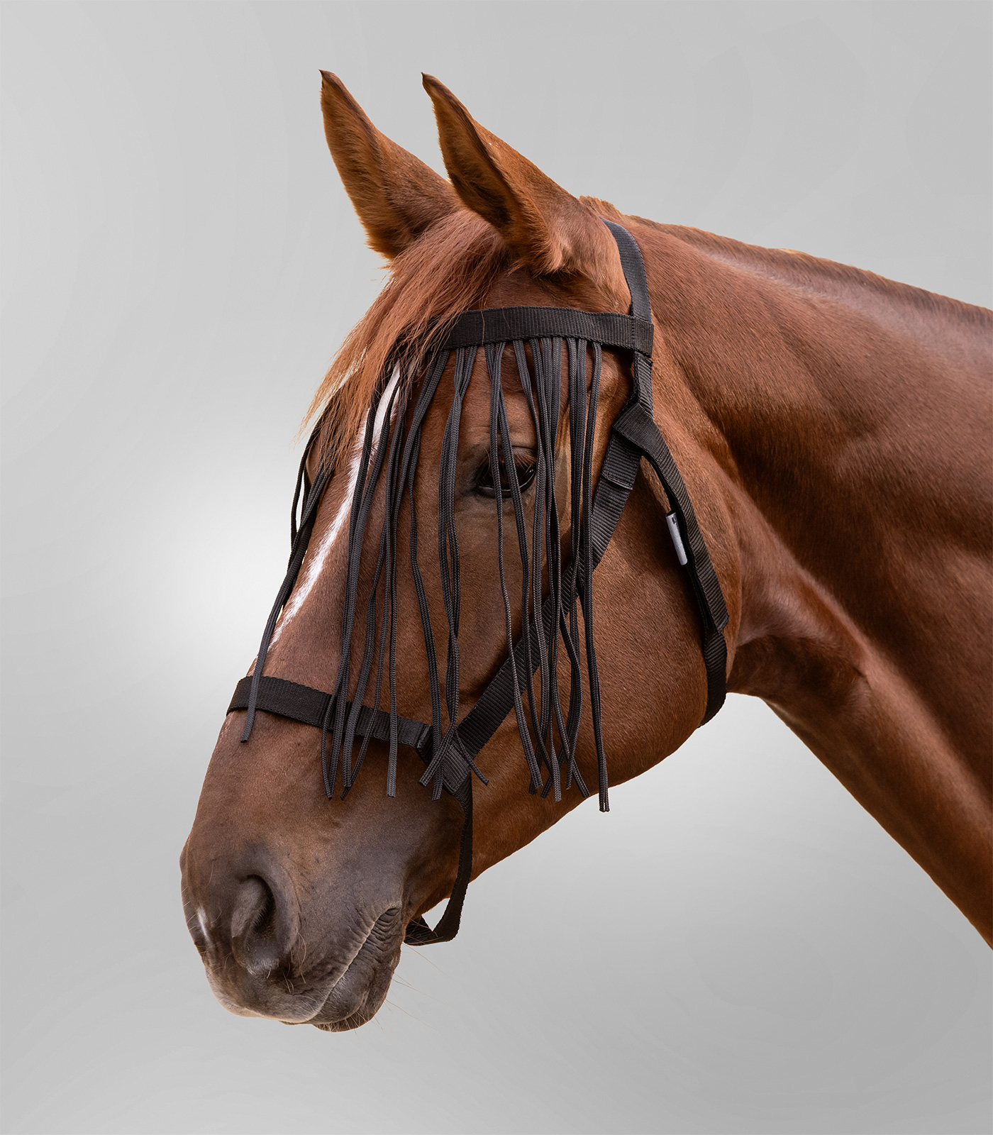 Waldhausen Grimma med Flugpannband - Svart (Ponny)